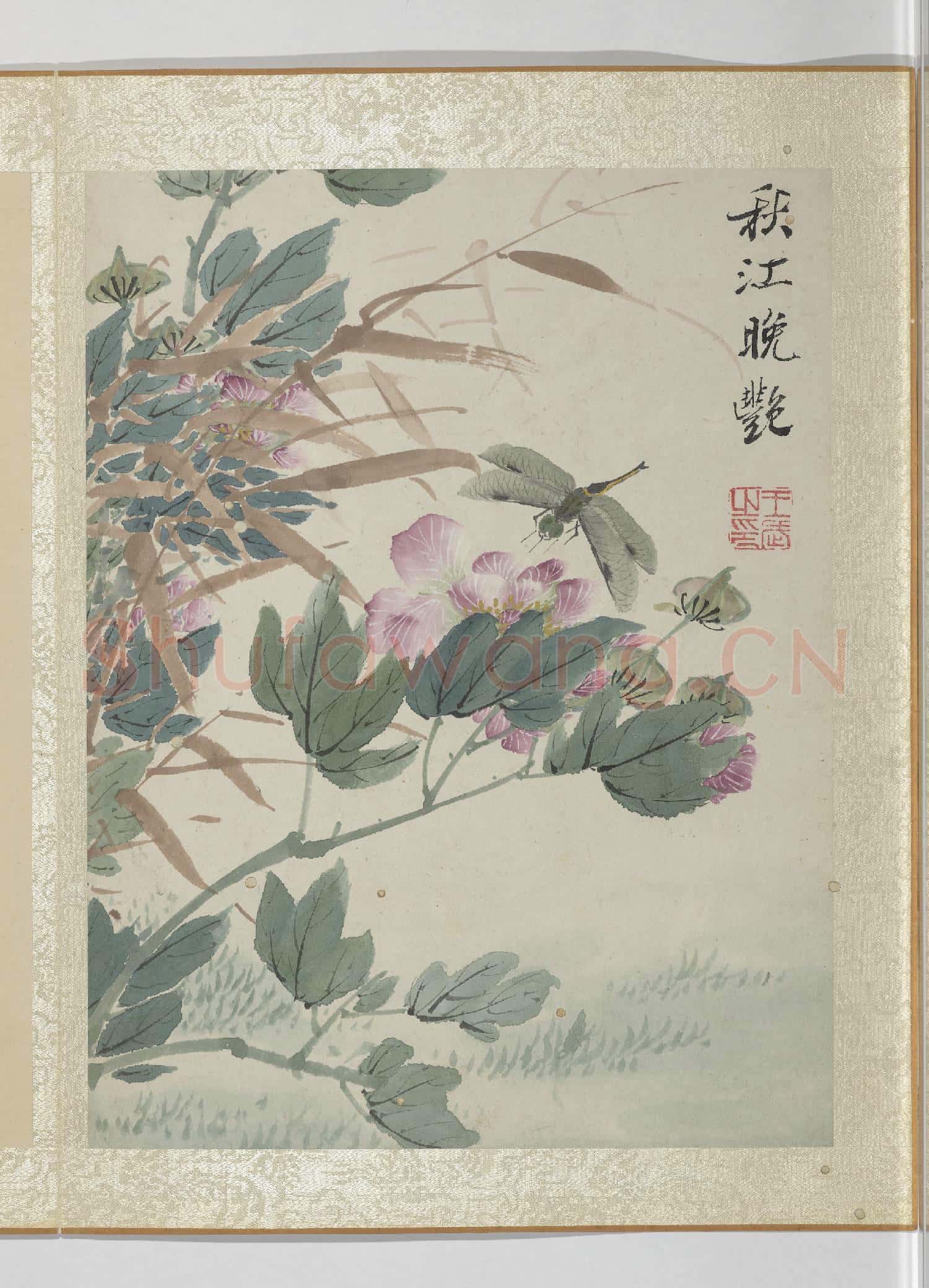 清王武花卉 冊 芙蓉花