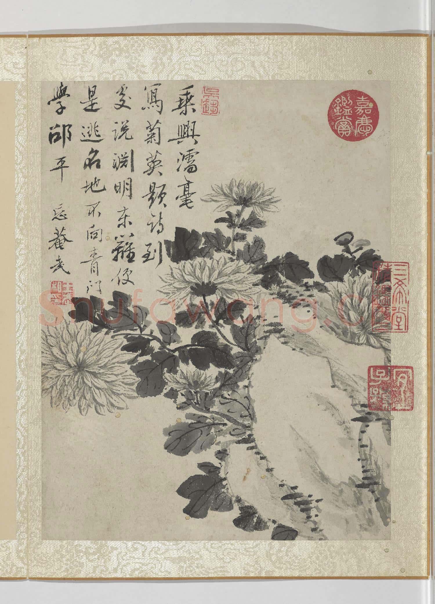 清王武花卉 冊 墨畫菊