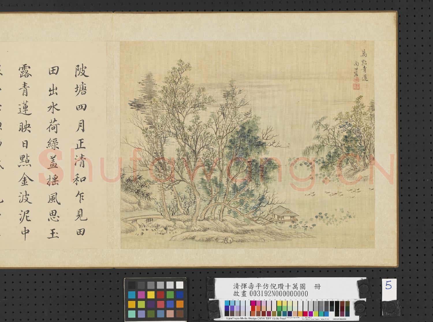 清惲壽平仿倪瓚十萬圖 冊 萬點青蓮