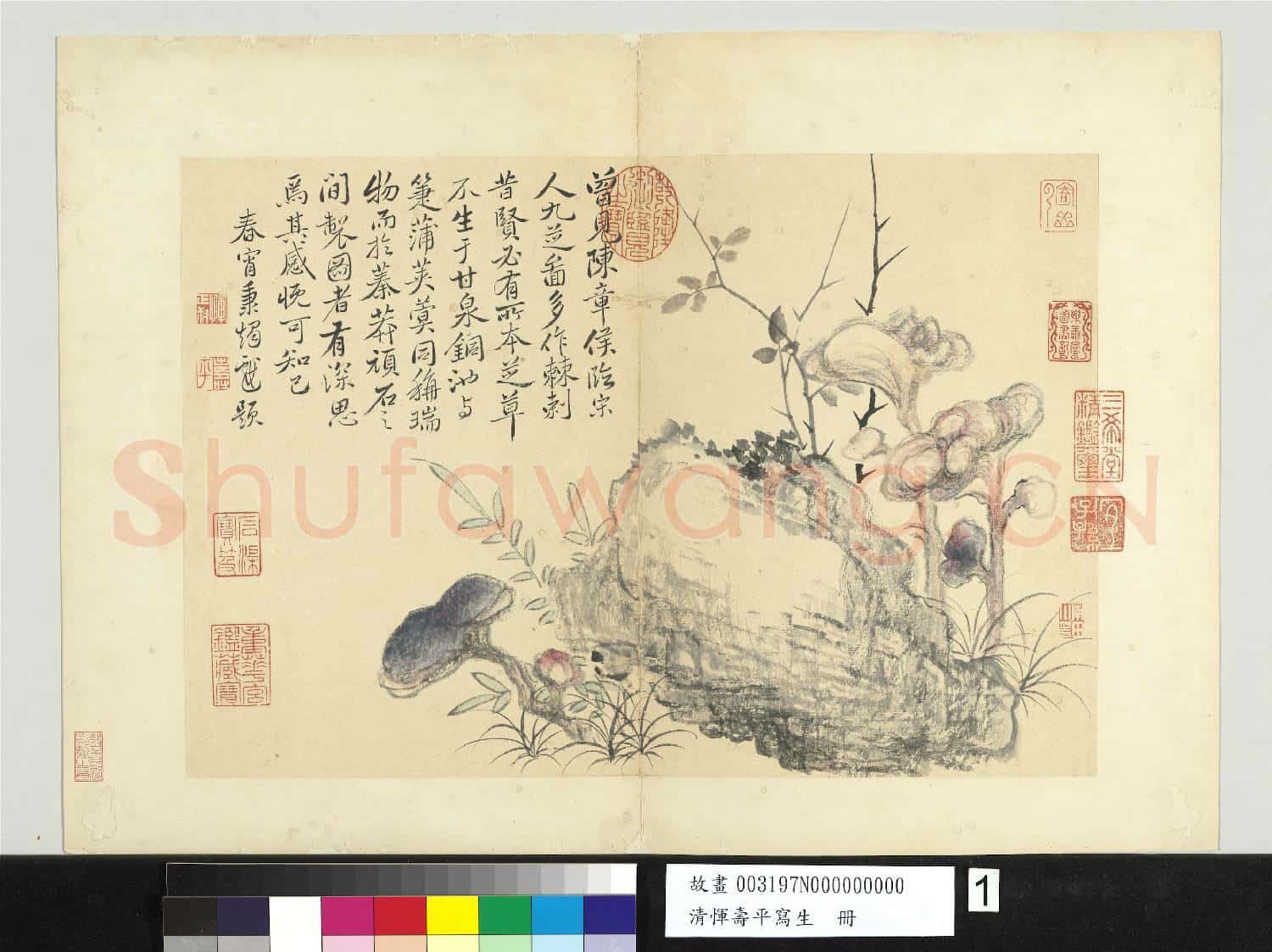 清惲壽平寫生 冊 芝草