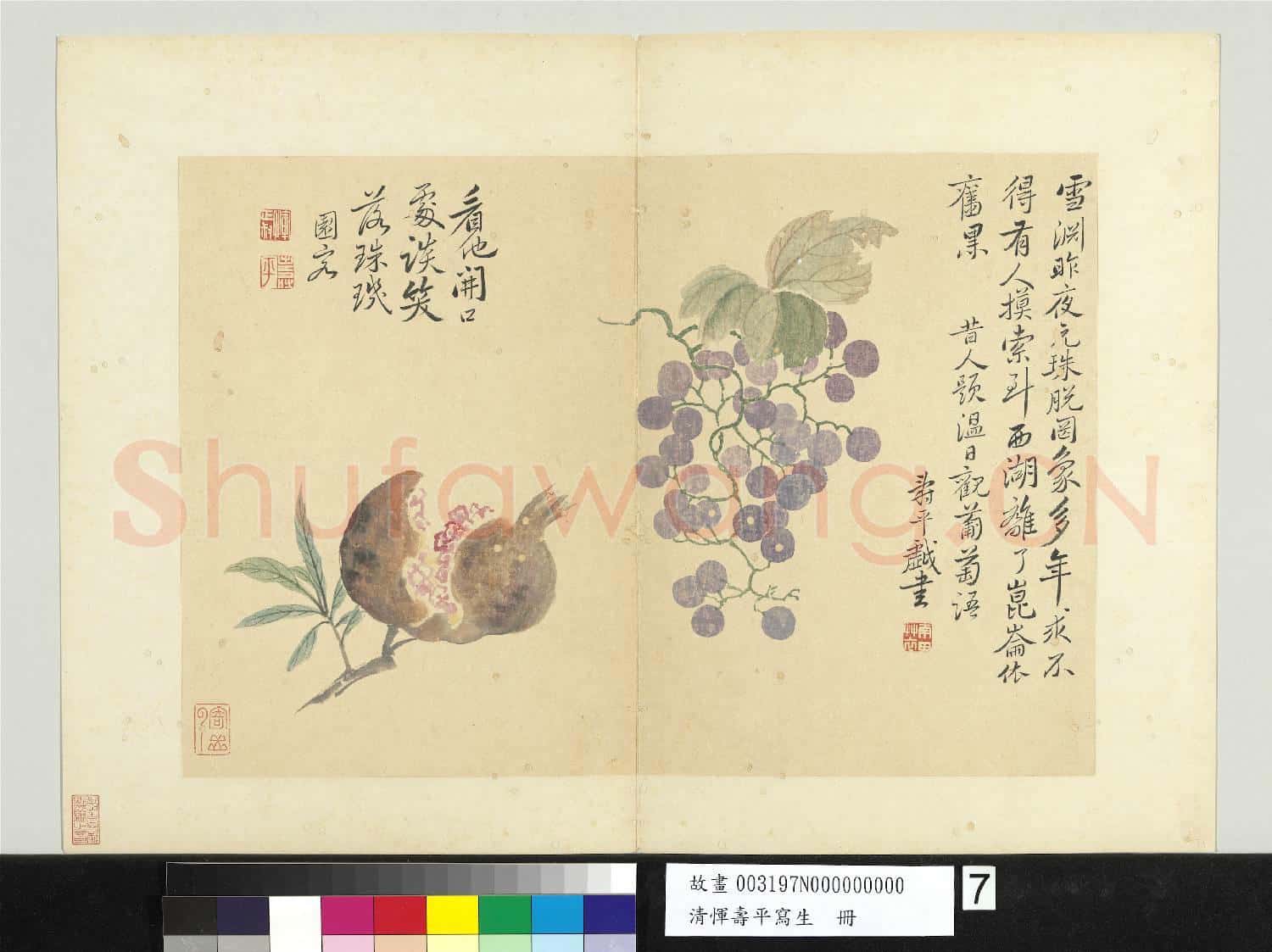 清惲壽平寫生 冊 葡萄石榴
