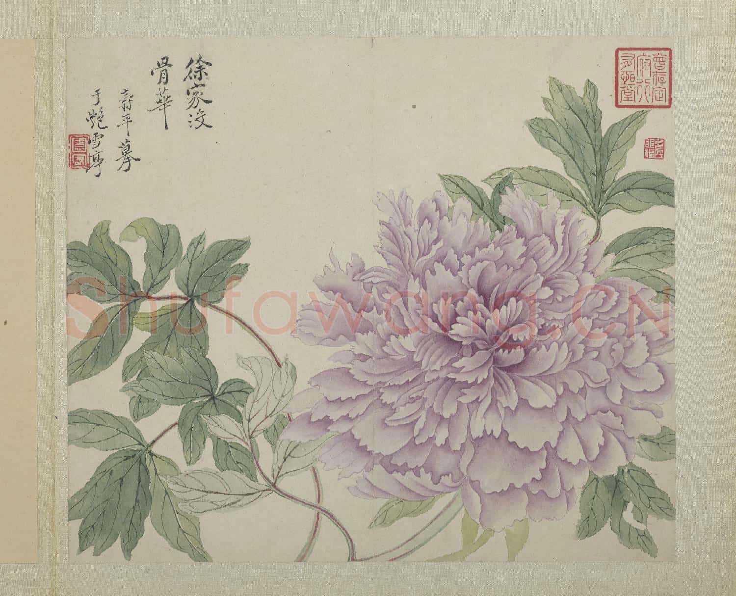清惲壽平畫花卉 冊 徐家沒骨華