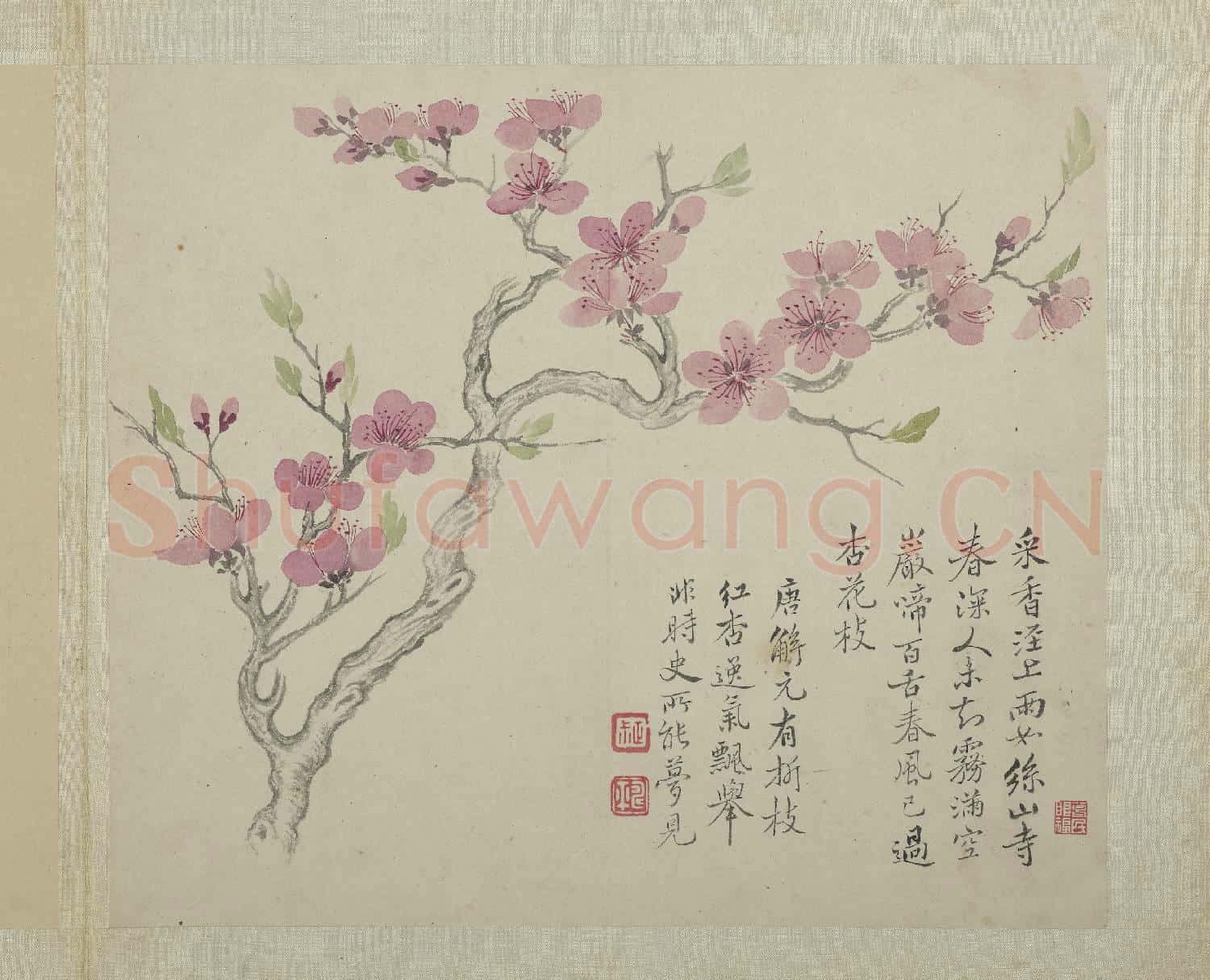 清惲壽平畫花卉 冊 杏花