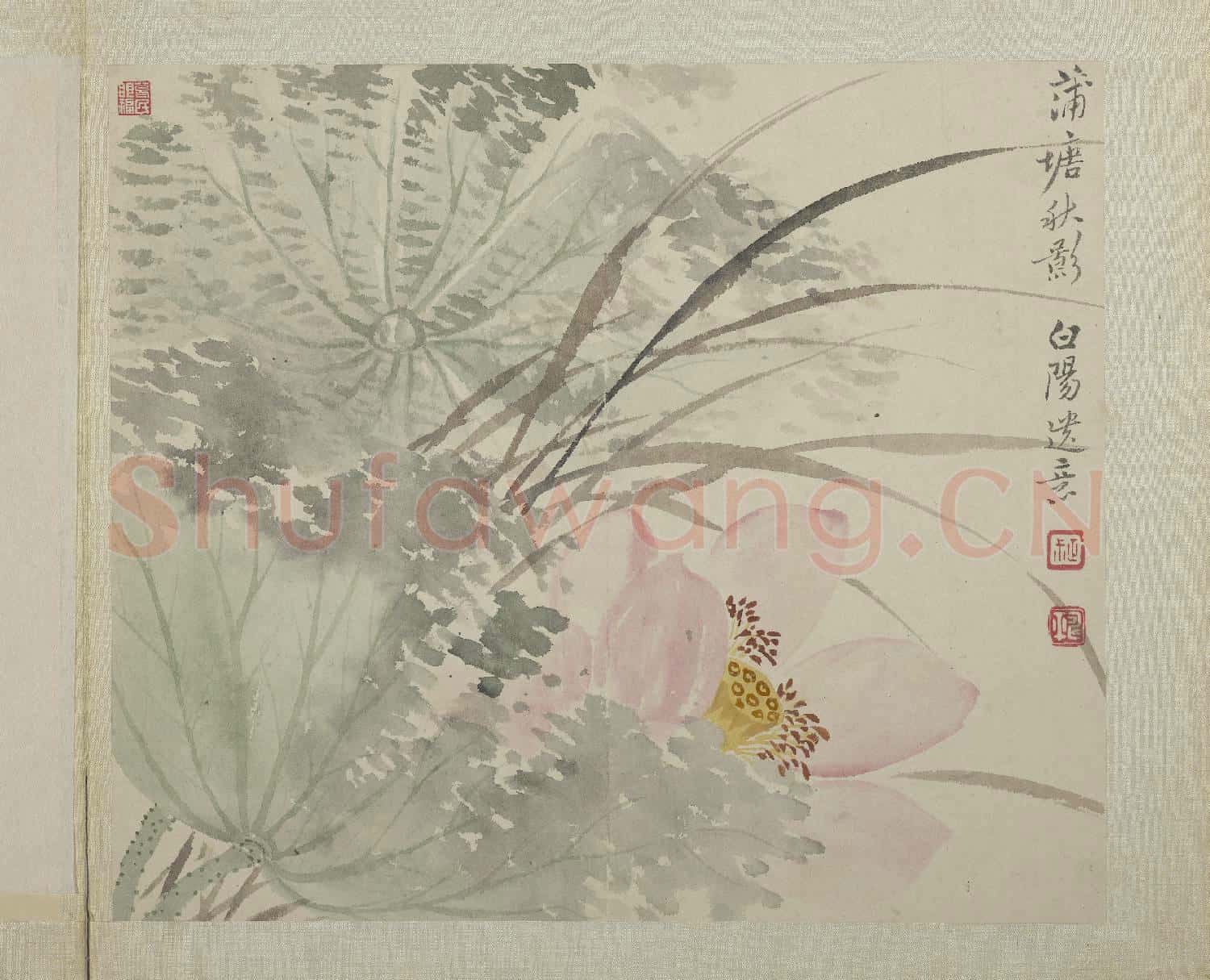 清惲壽平畫花卉 冊 蒲塘秋影