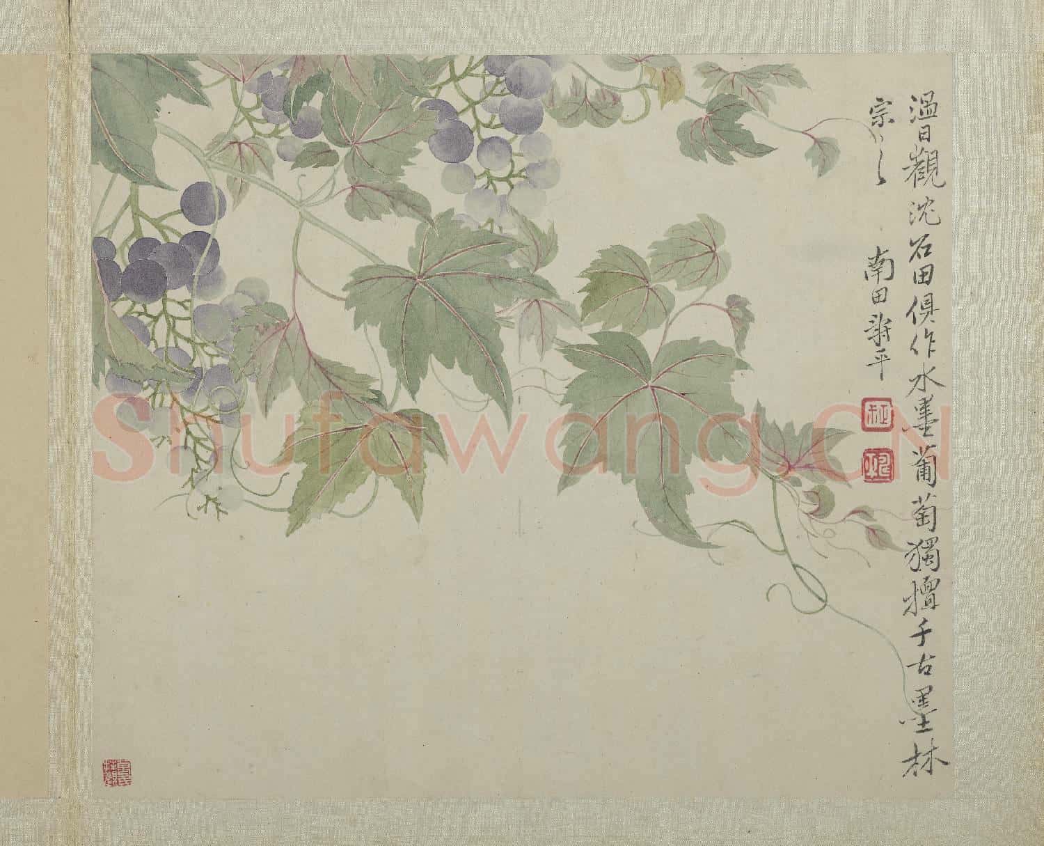 清惲壽平畫花卉 冊 葡萄