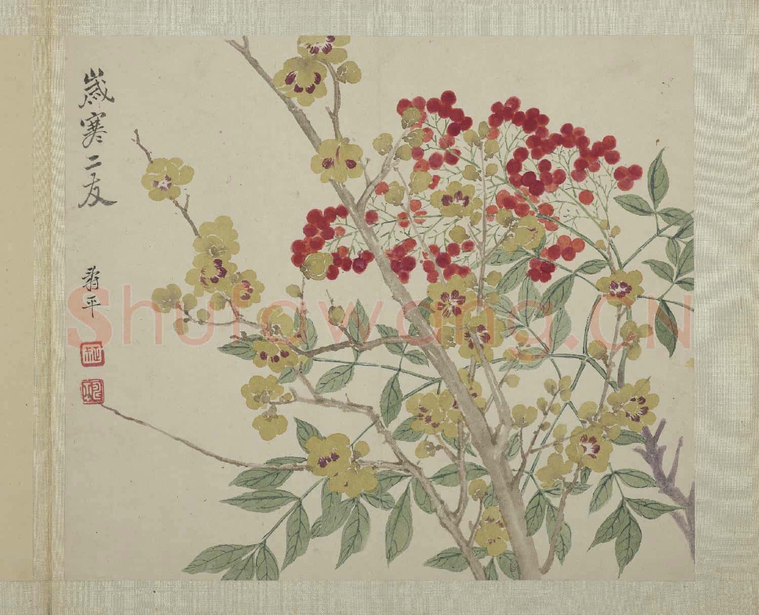 清惲壽平畫花卉 冊 歲寒二友