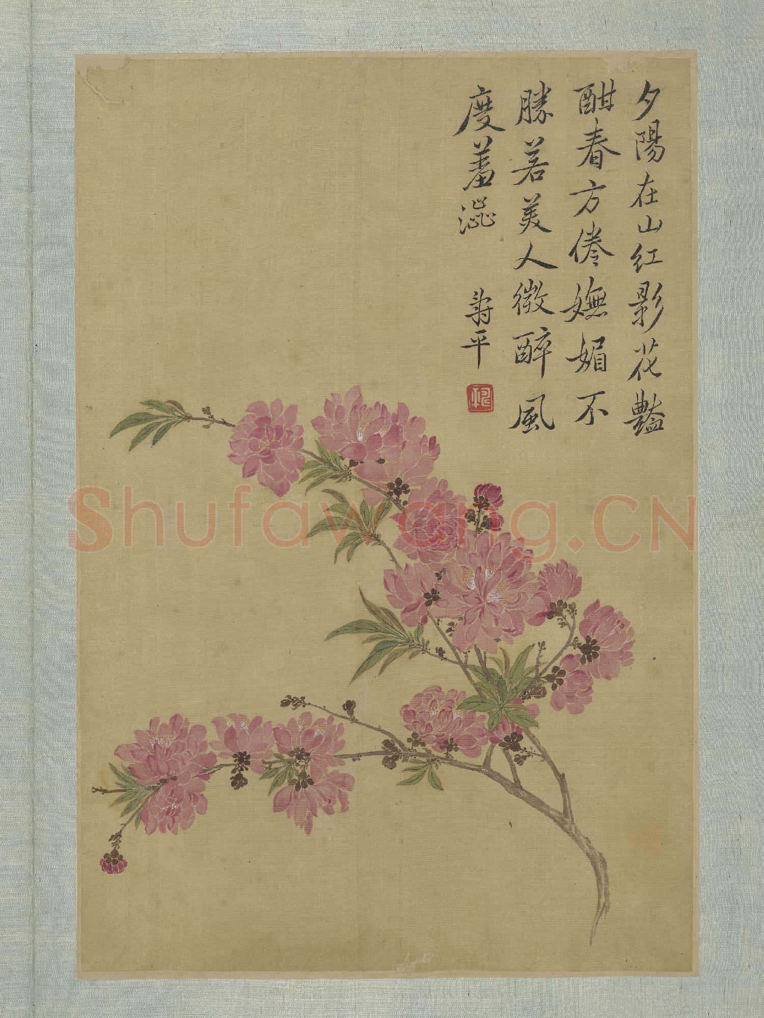 清惲壽平畫花卉 冊 碧桃