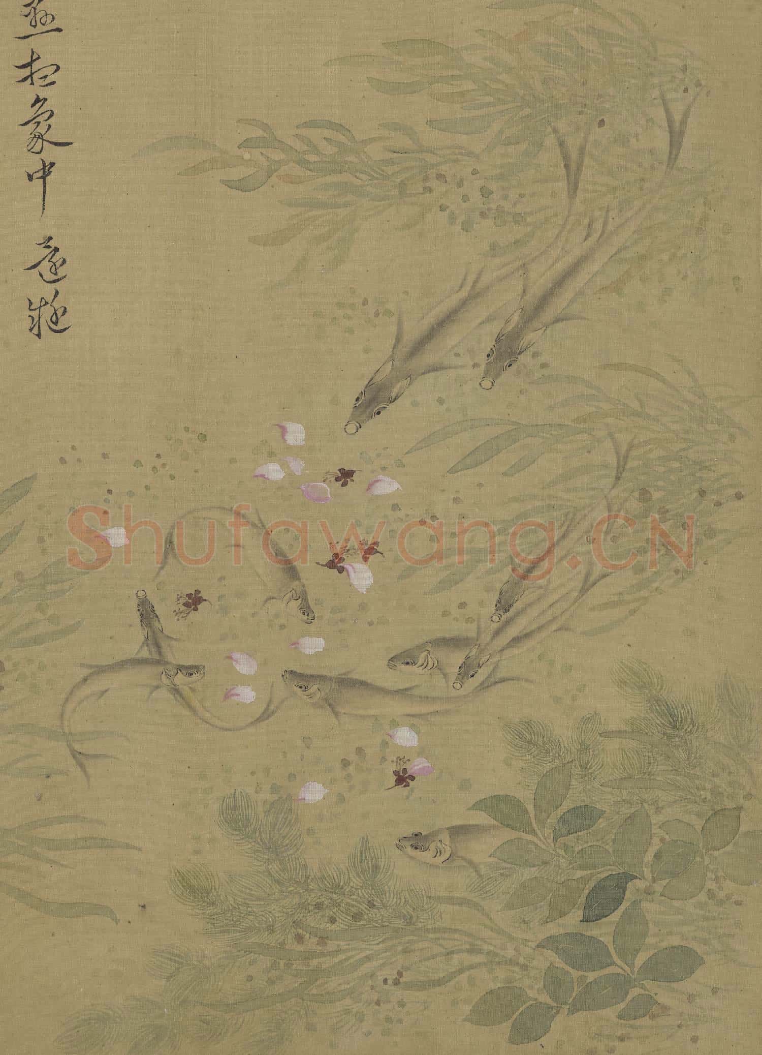 清惲壽平畫花卉 冊 魚藻