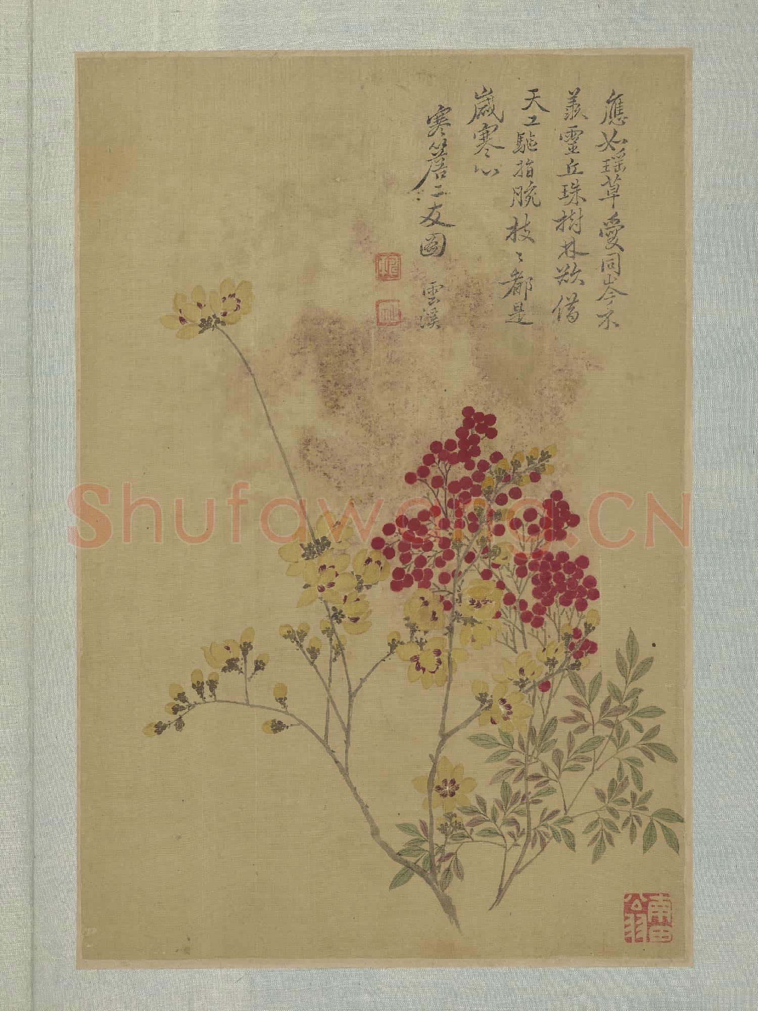 清惲壽平畫花卉 冊 寒簷二友圖