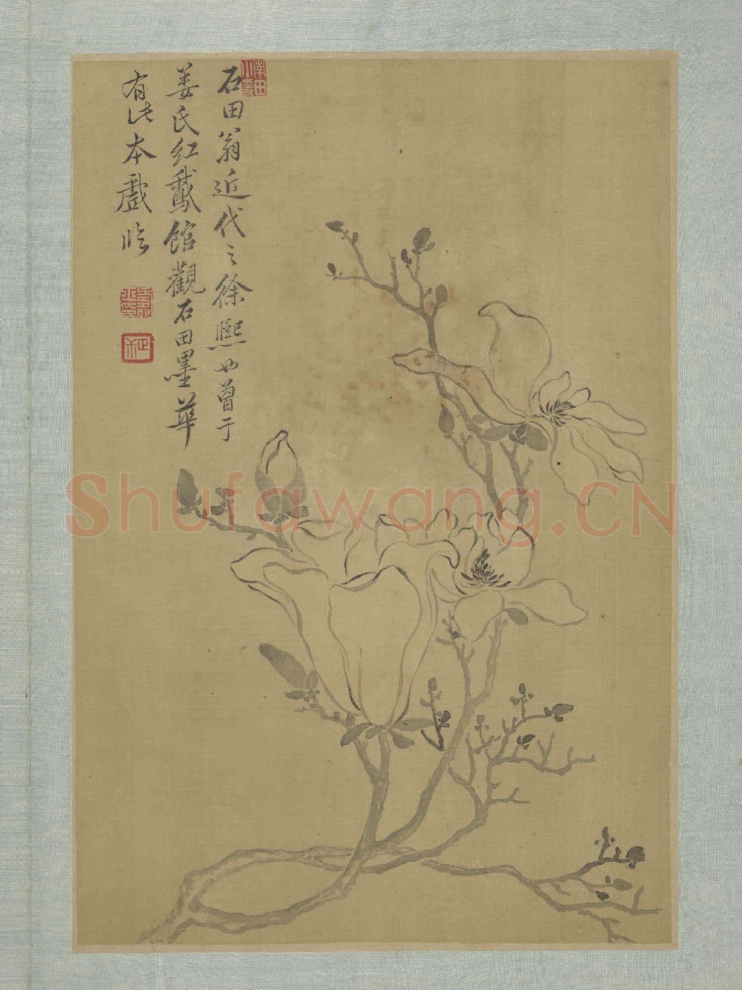 清惲壽平畫花卉 冊 木蘭