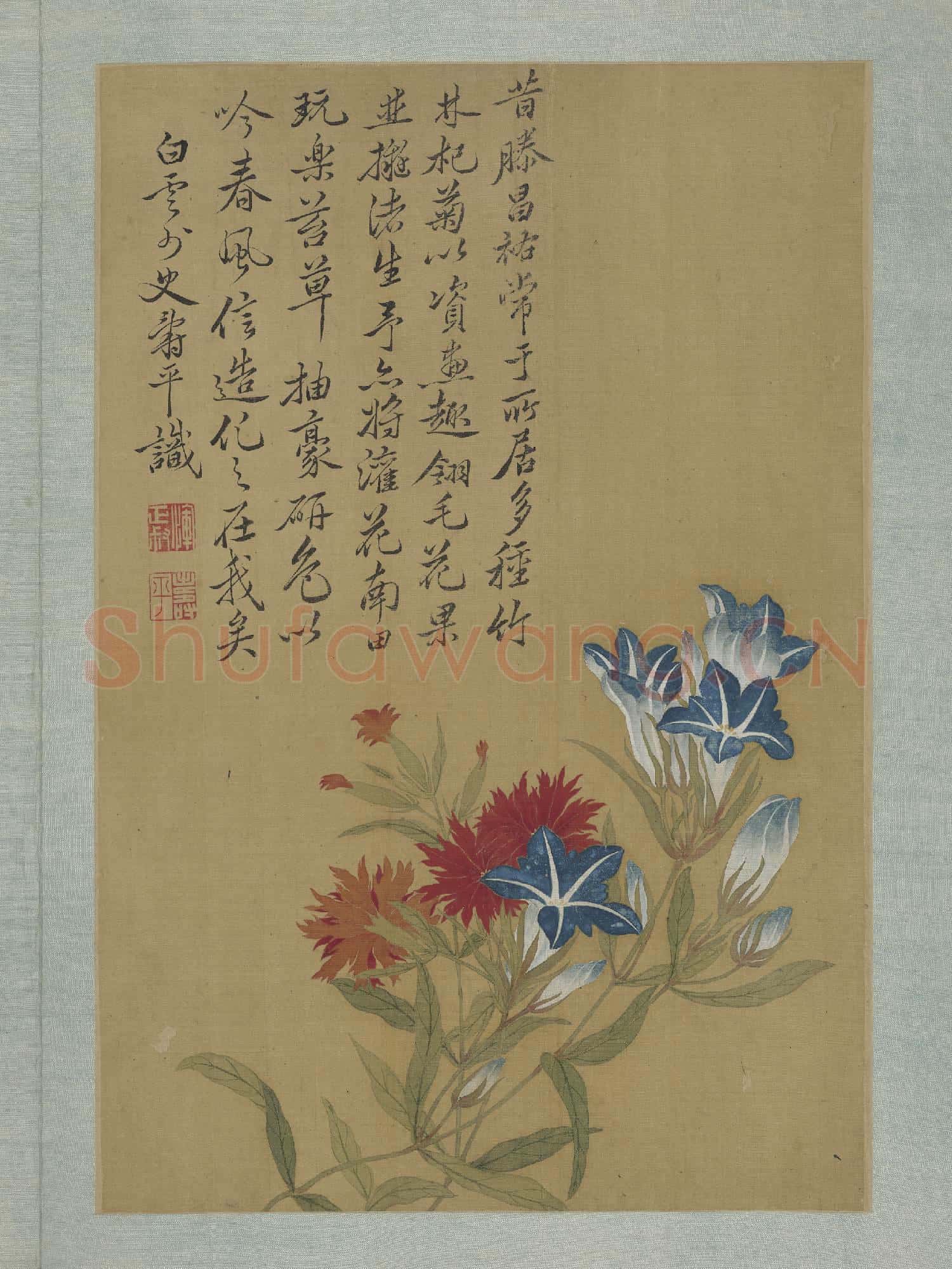 清惲壽平畫花卉 冊 石竹牽牛花