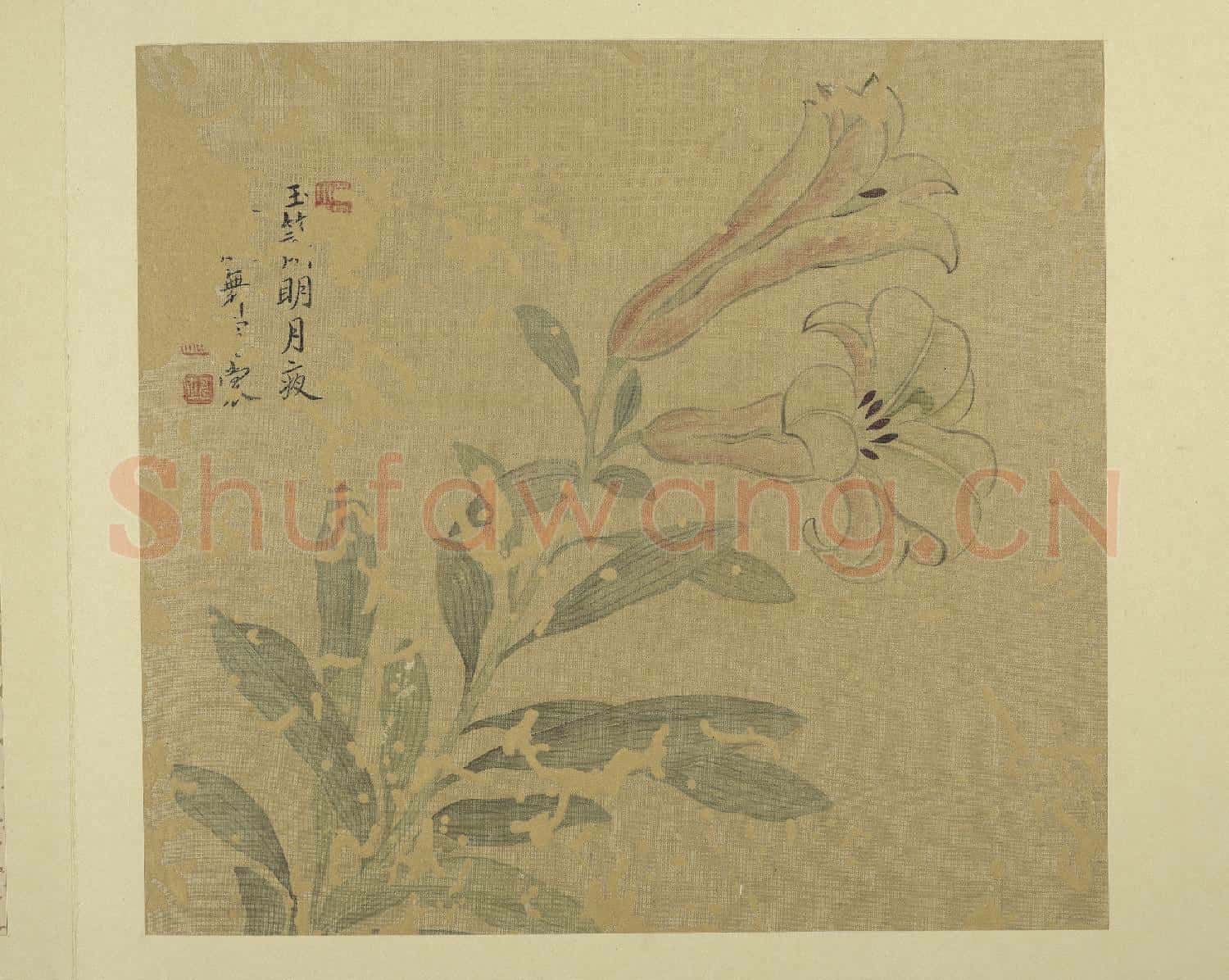 清惲壽平畫花卉 冊 百合