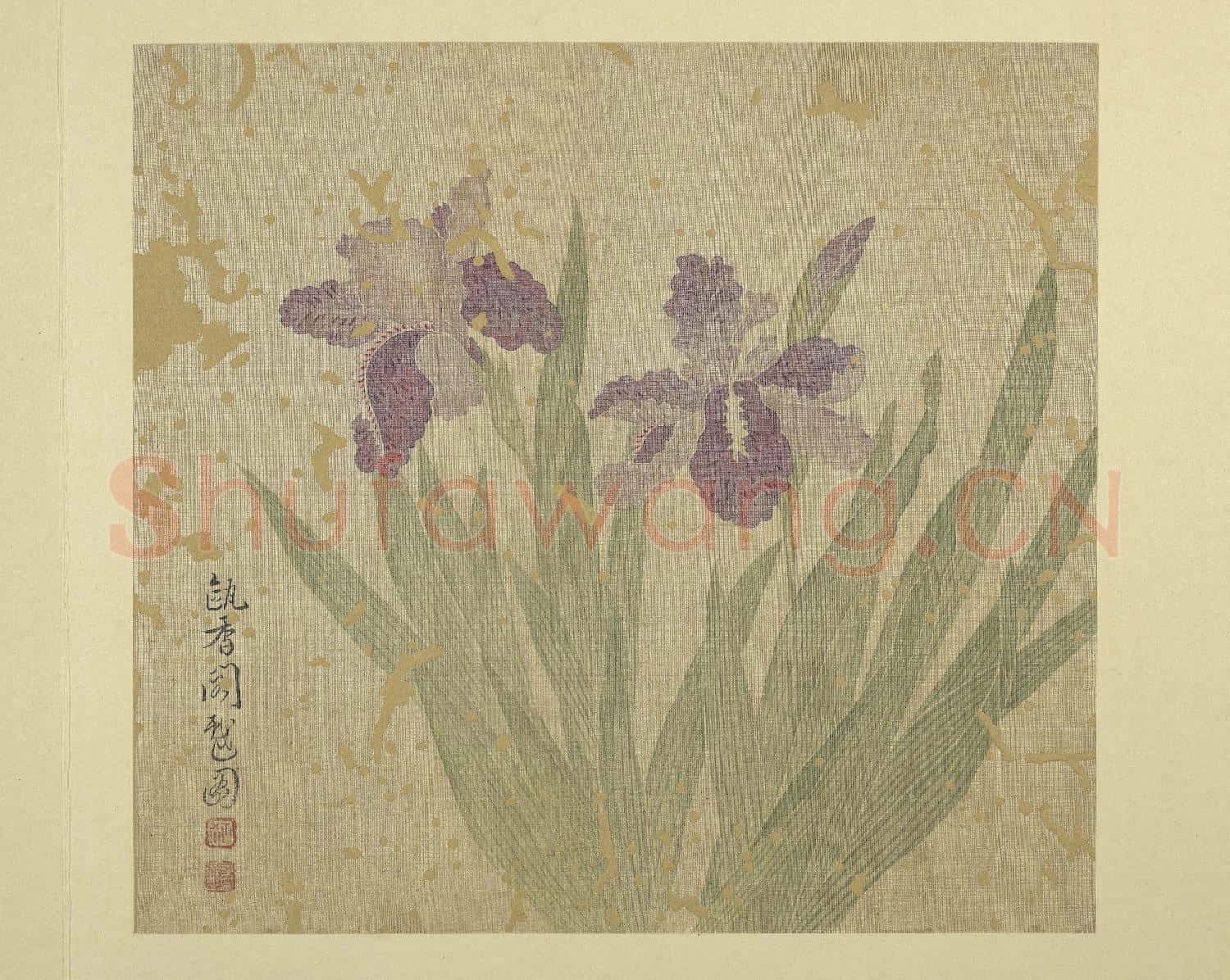 清惲壽平畫花卉 冊 鳶尾