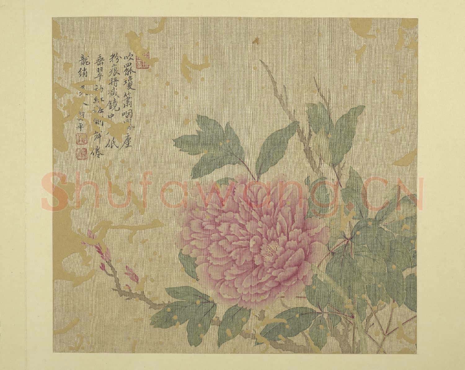 清惲壽平畫花卉 冊 牡丹