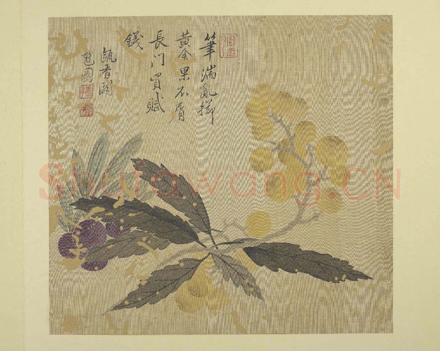 清惲壽平畫花卉 冊 枇杷