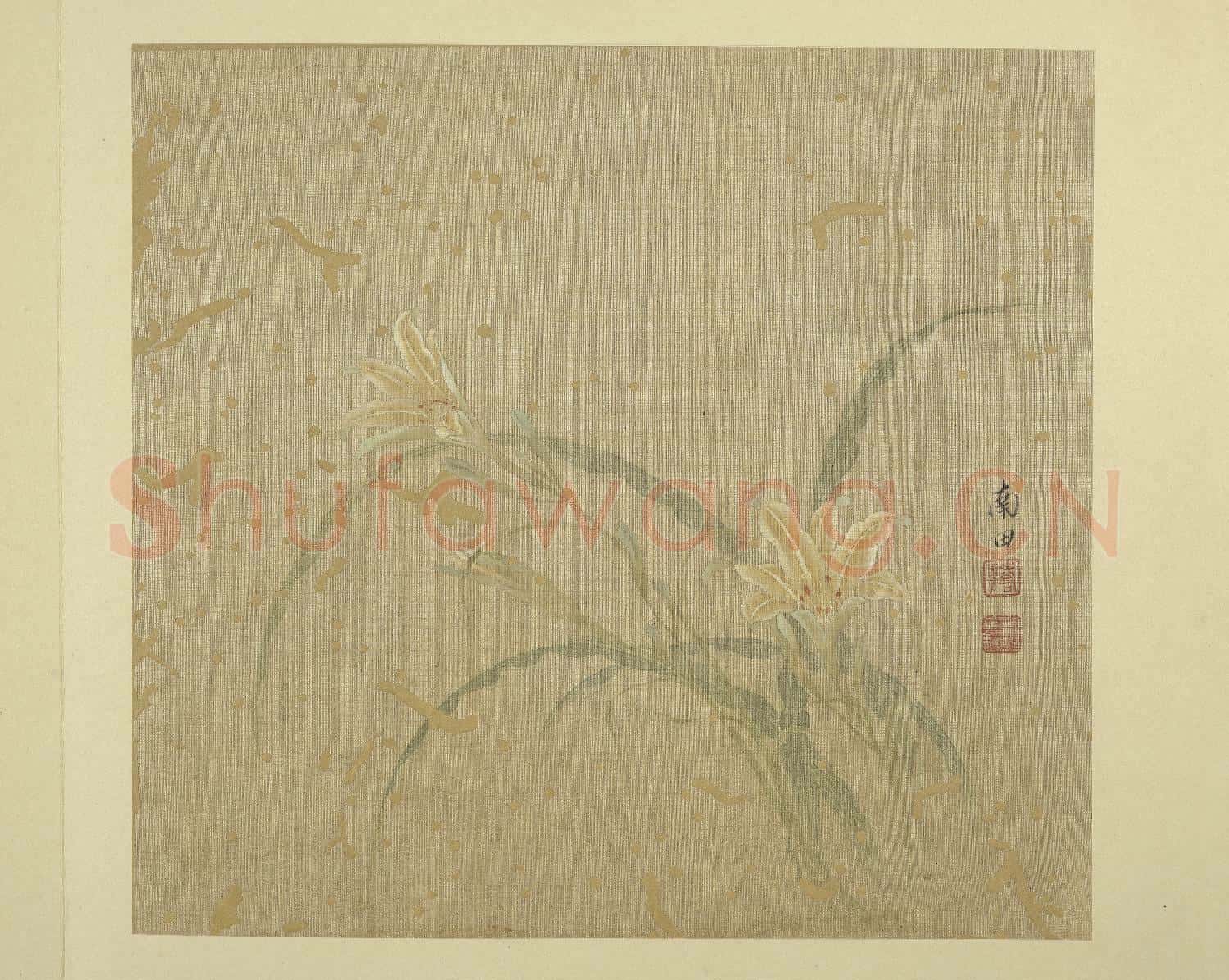 清惲壽平畫花卉 冊 萱花