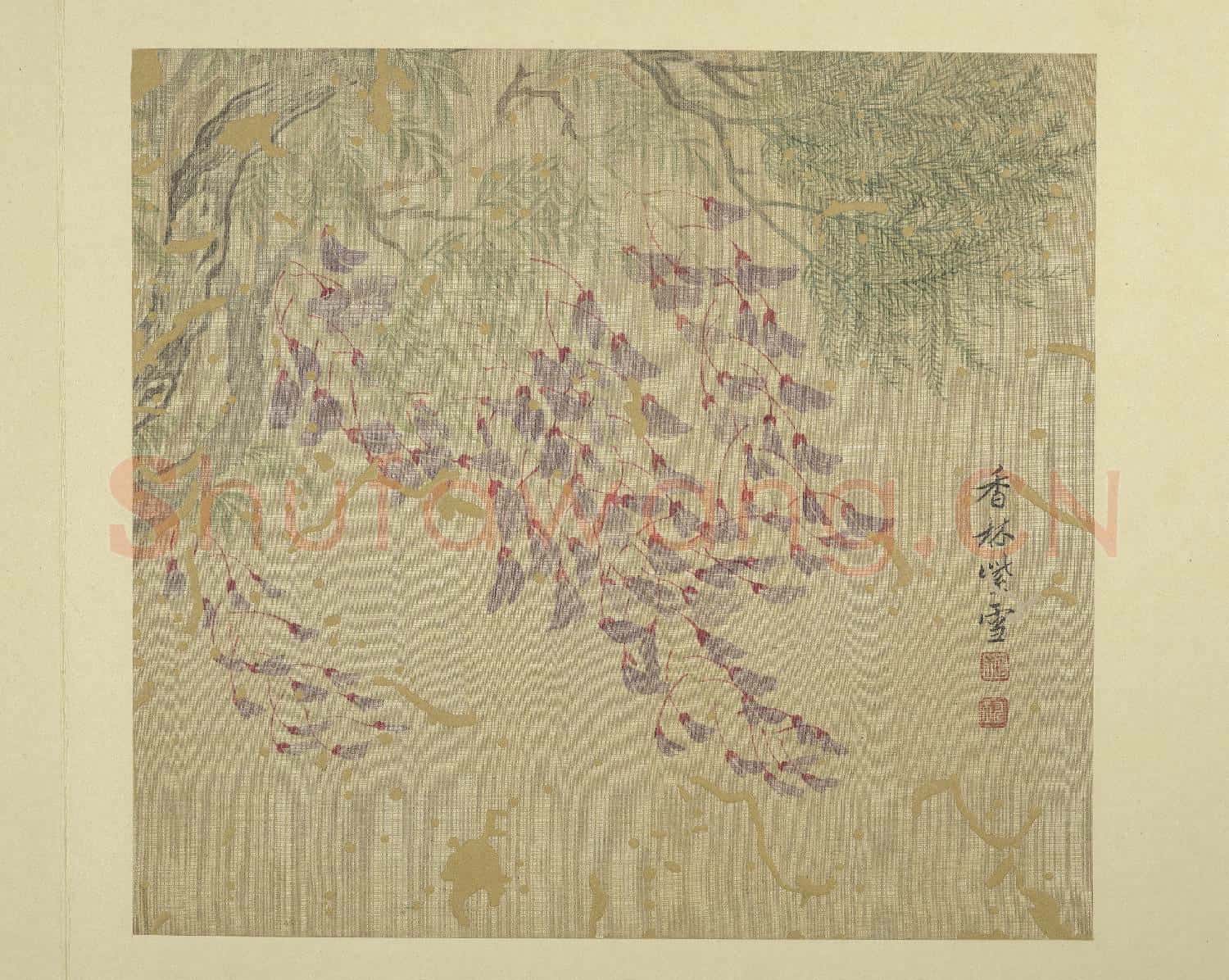 清惲壽平畫花卉 冊 紫藤