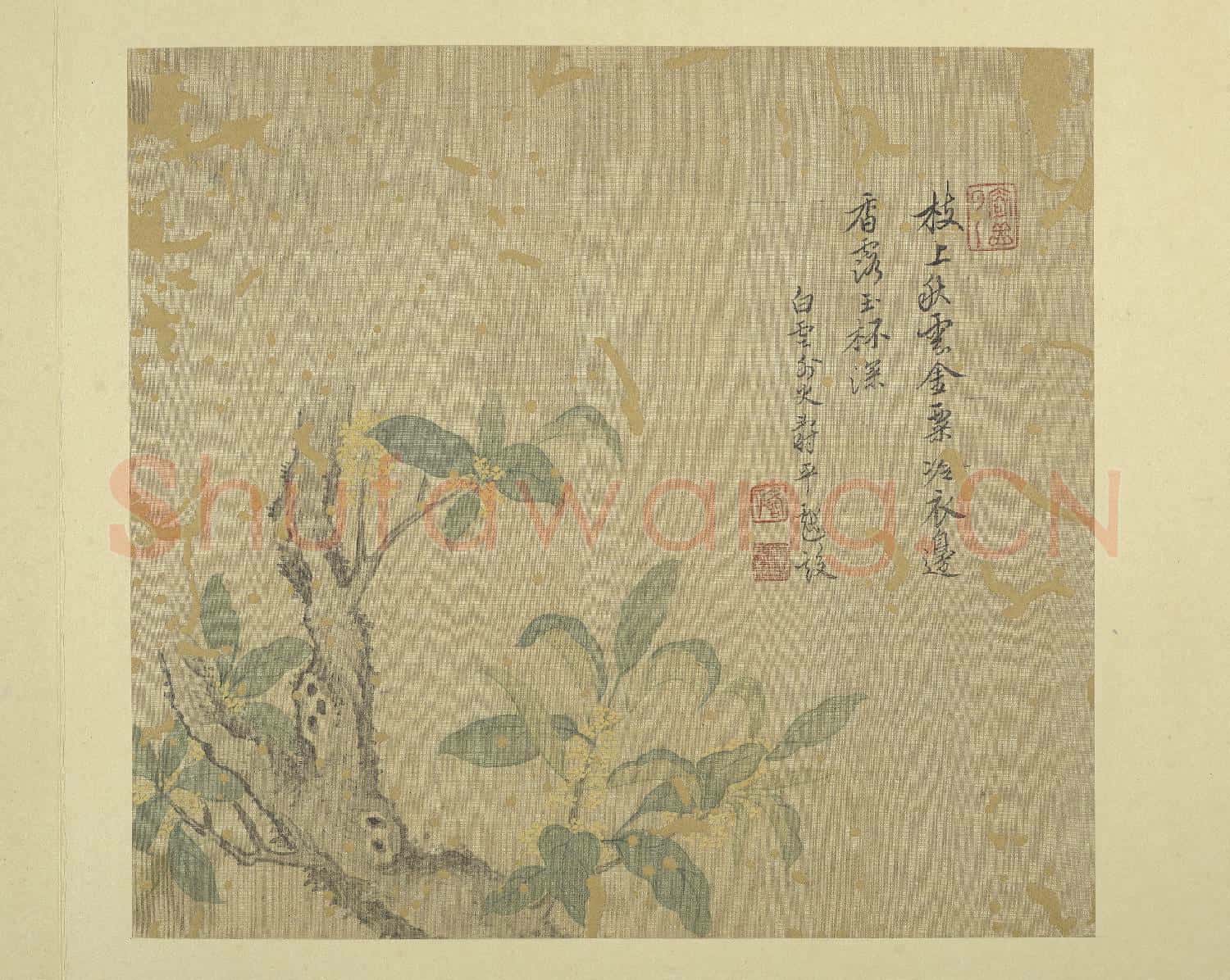 清惲壽平畫花卉 冊 桂花