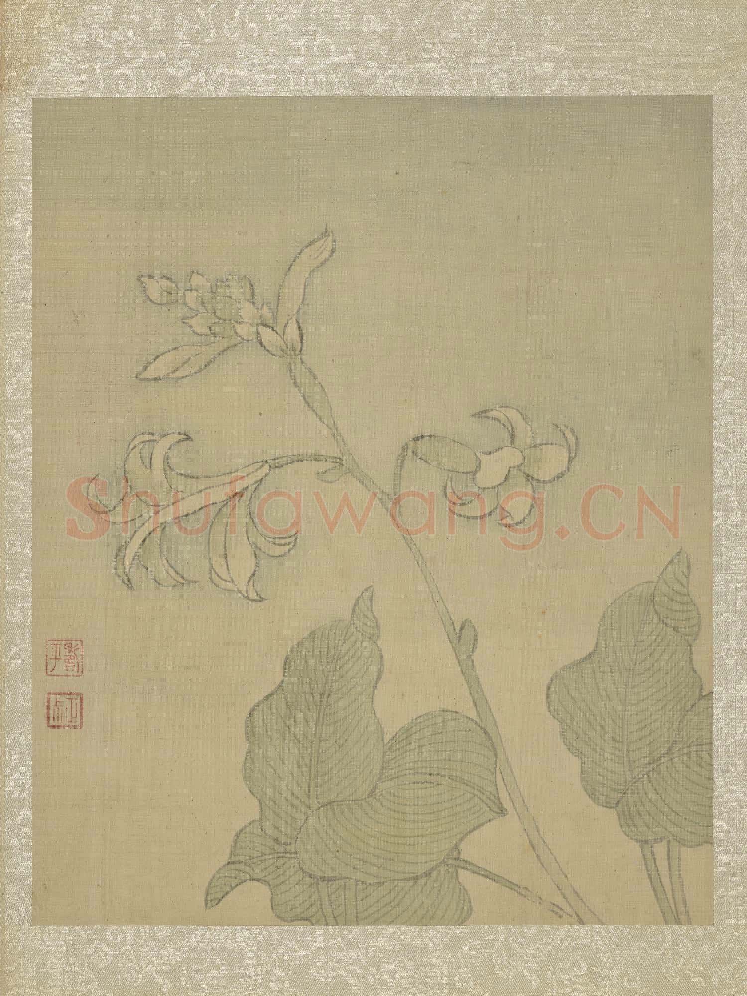 清惲壽平魚藻圖 冊 玉簪花