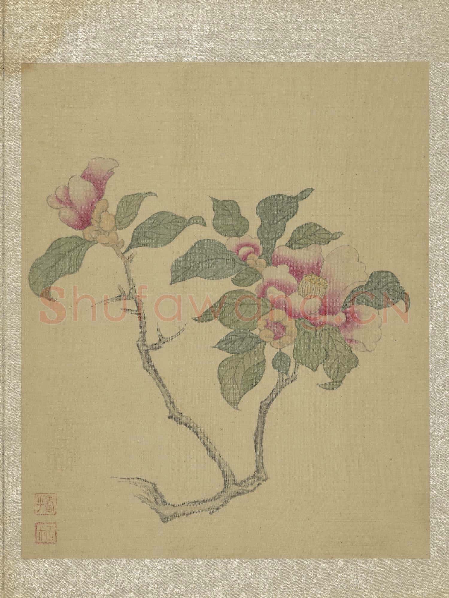 清惲壽平魚藻圖 冊 茶花