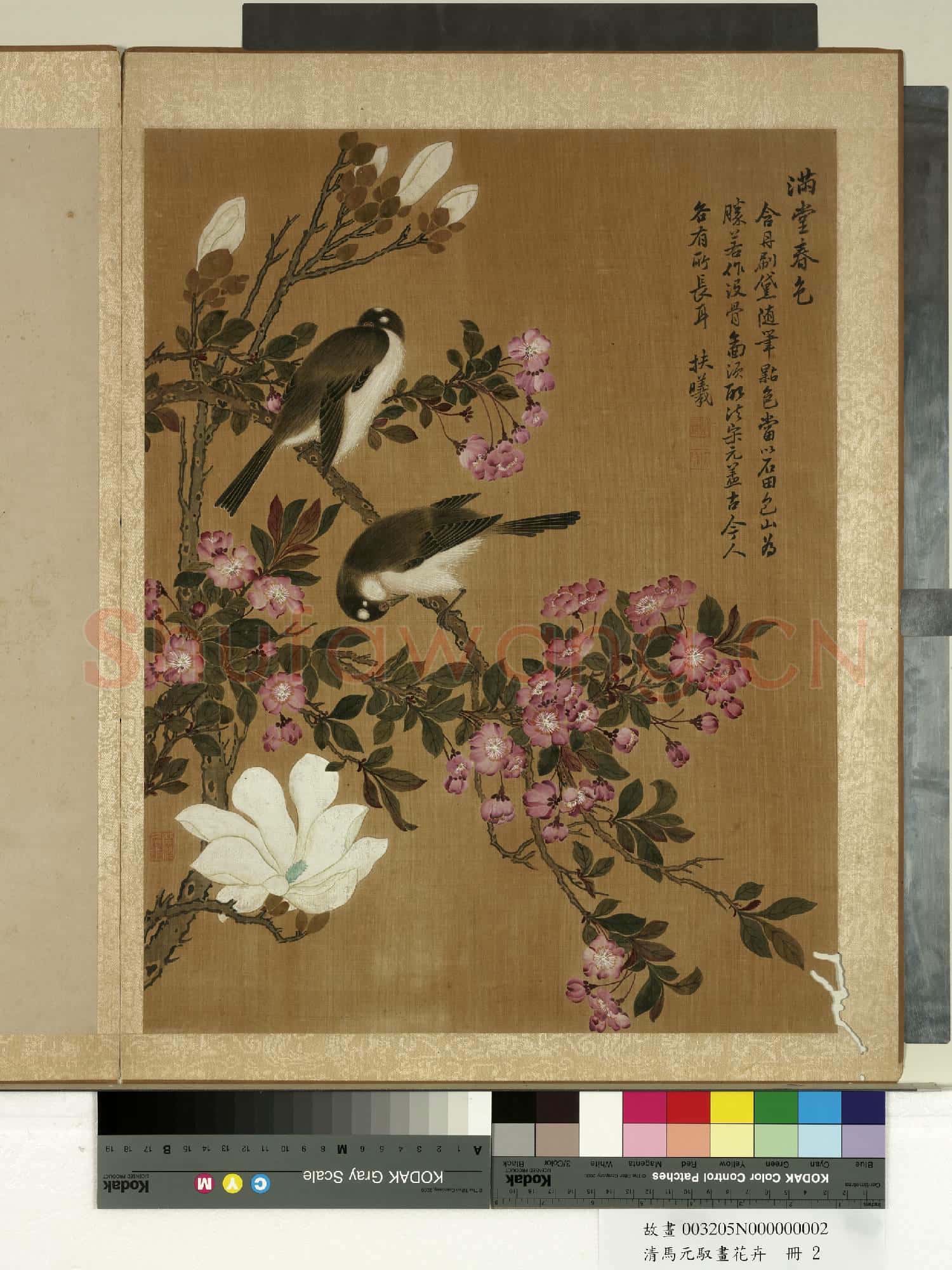 清馬元馭畫花卉 冊 海棠辛夷