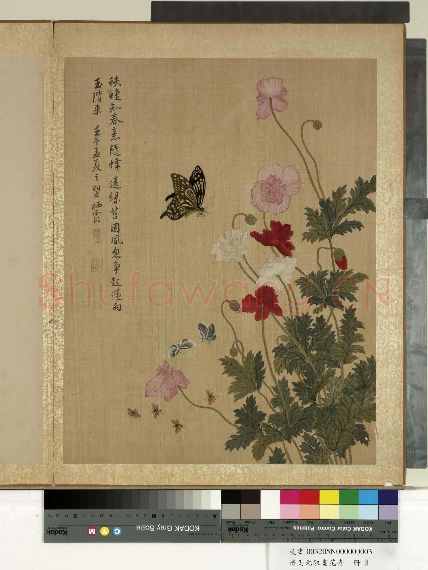 清馬元馭畫花卉 冊 蜂蝶虞美人