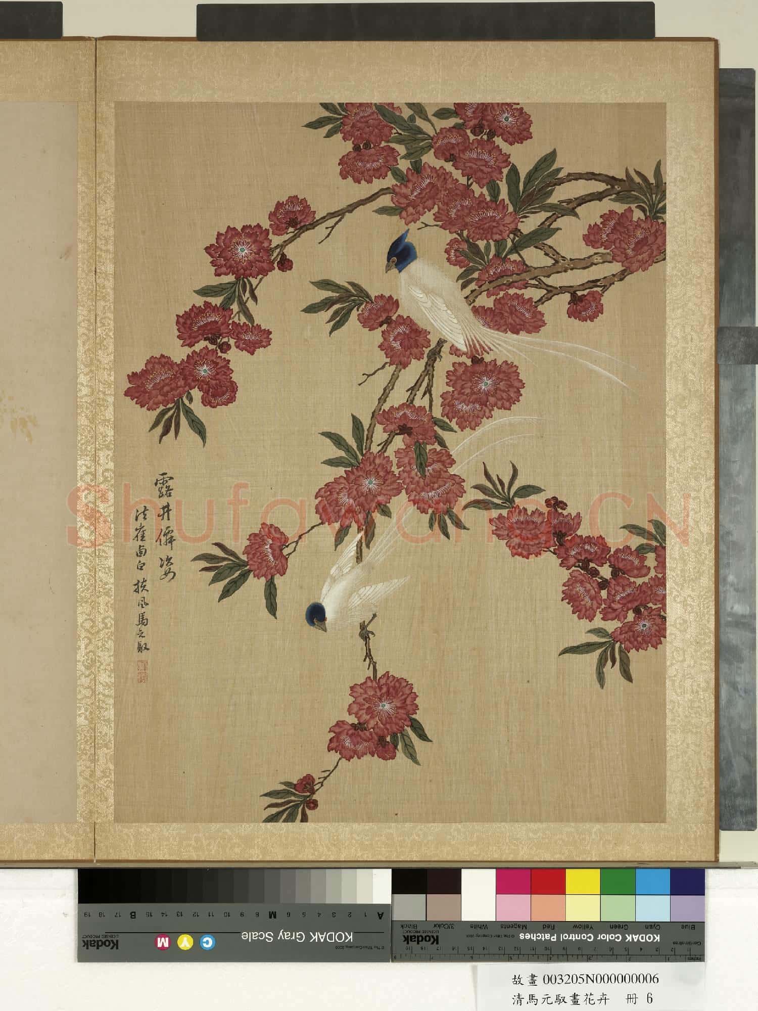 清馬元馭畫花卉 冊 碧桃壽帶
