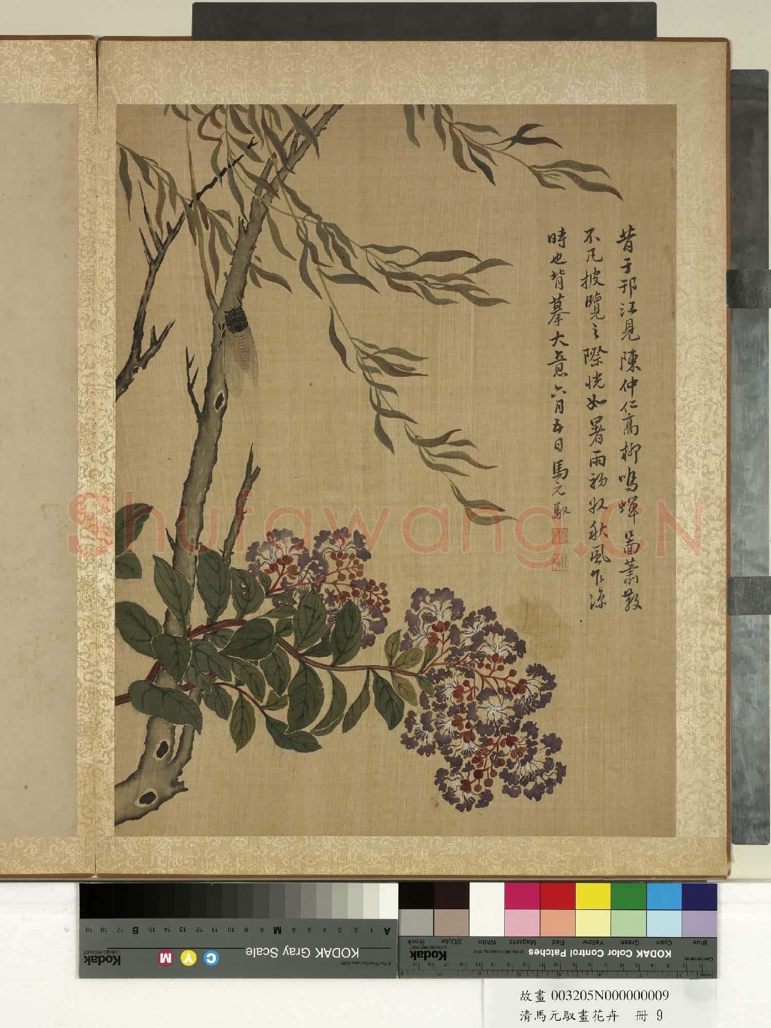 清馬元馭畫花卉 冊 楊柳紫薇