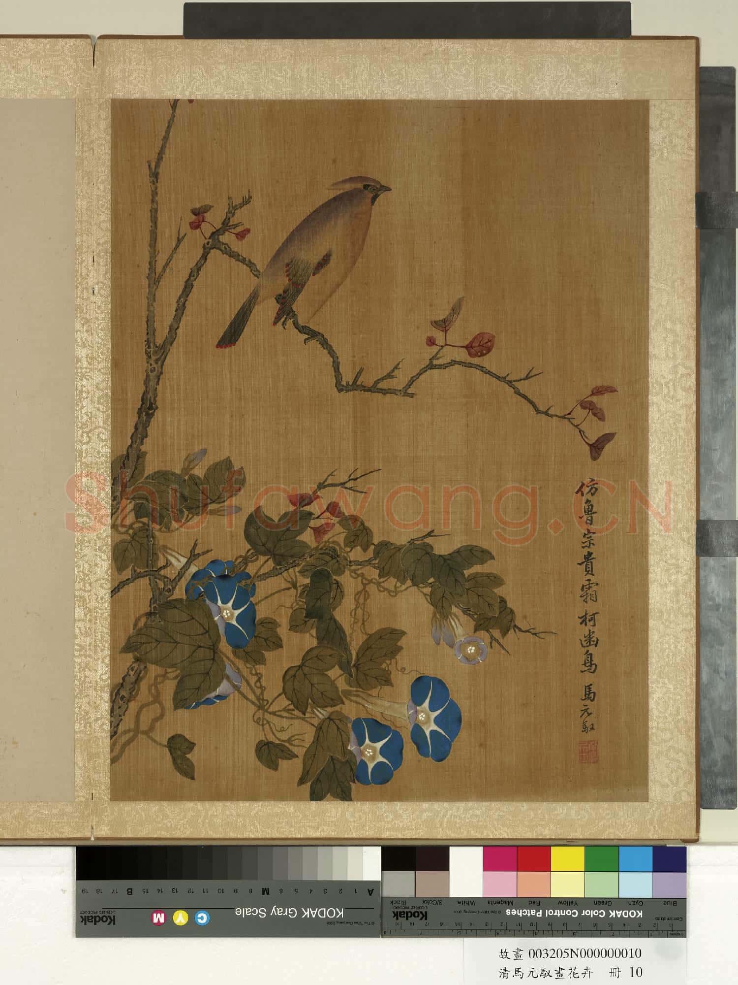 清馬元馭畫花卉 冊 牽牛雀鳥