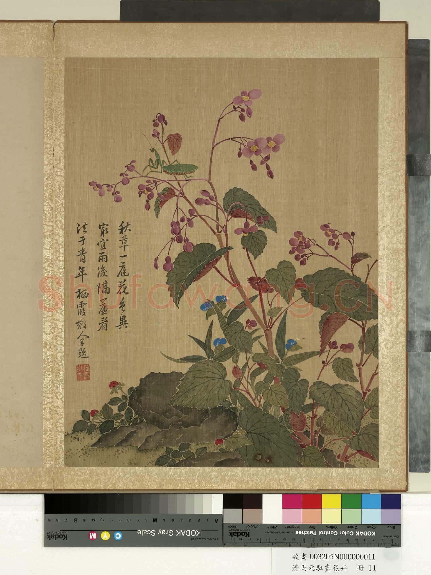 清馬元馭畫花卉 冊 海棠螳螂