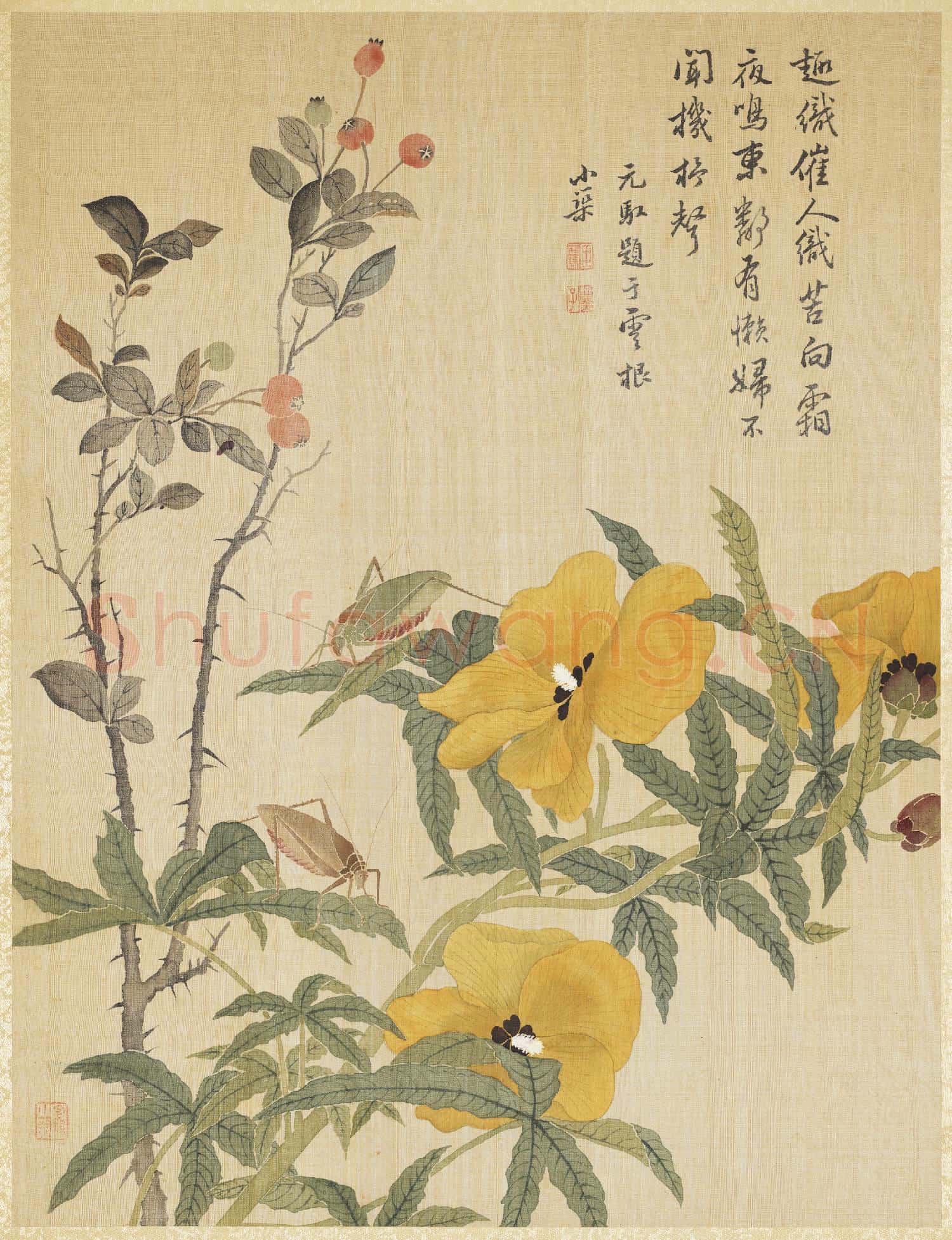 清馬元馭畫花卉 冊 秋葵螽斯
