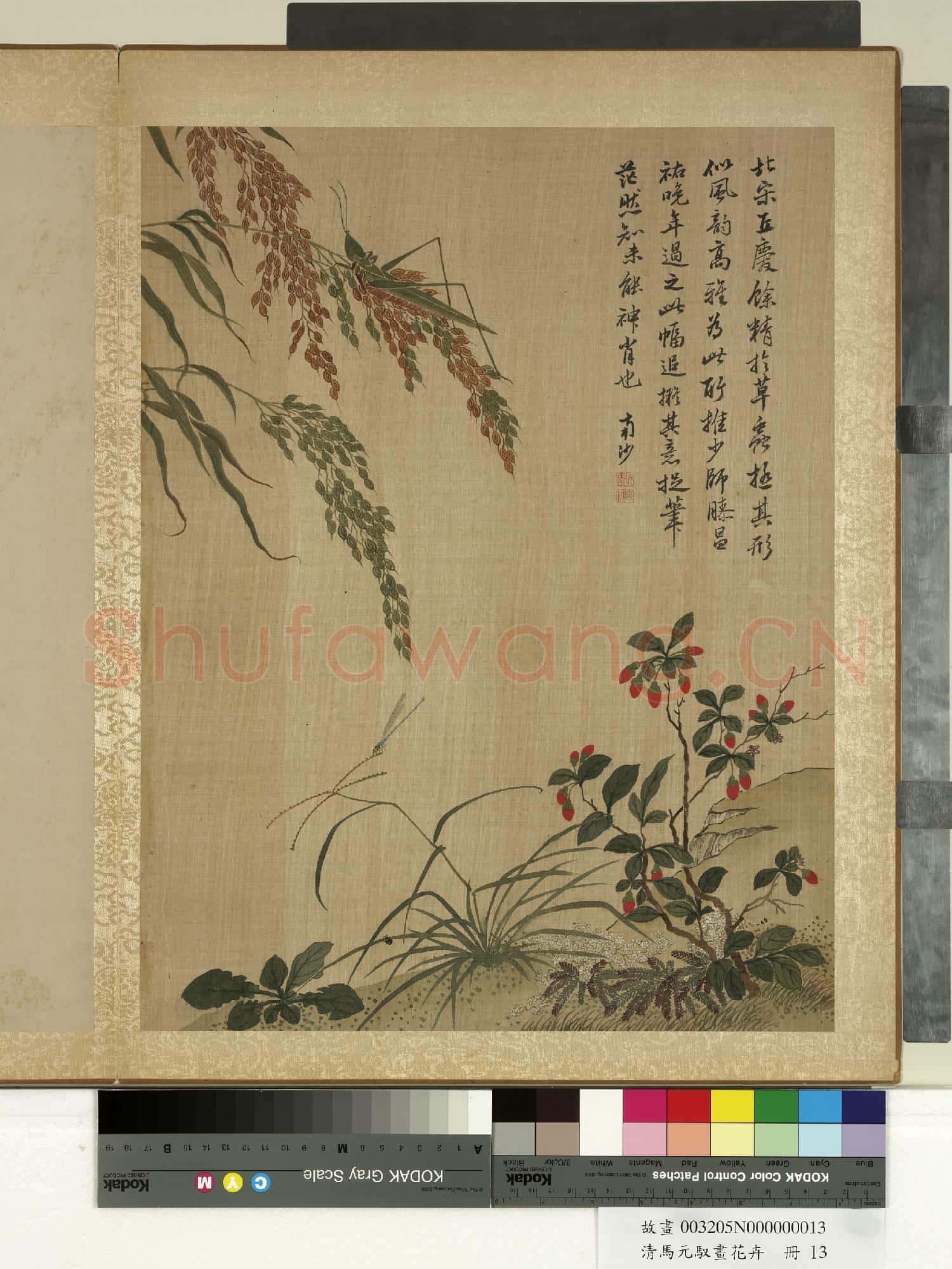 清馬元馭畫花卉 冊 枸杞蝗蟲