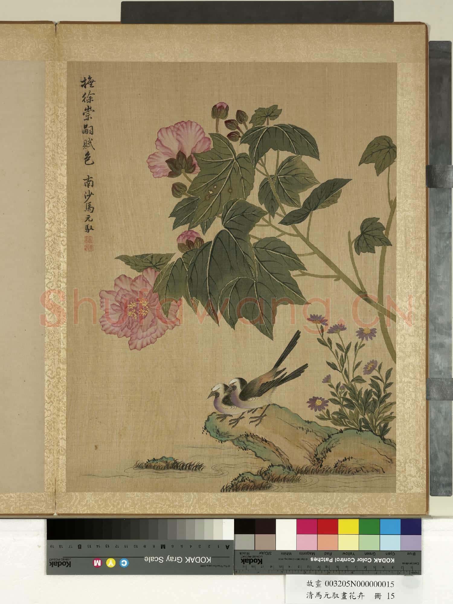 清馬元馭畫花卉 冊 芙蓉鶺鴒