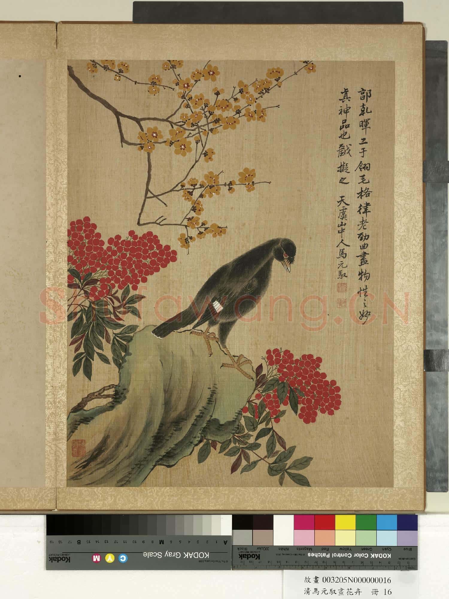 清馬元馭畫花卉 冊 蠟梅八哥