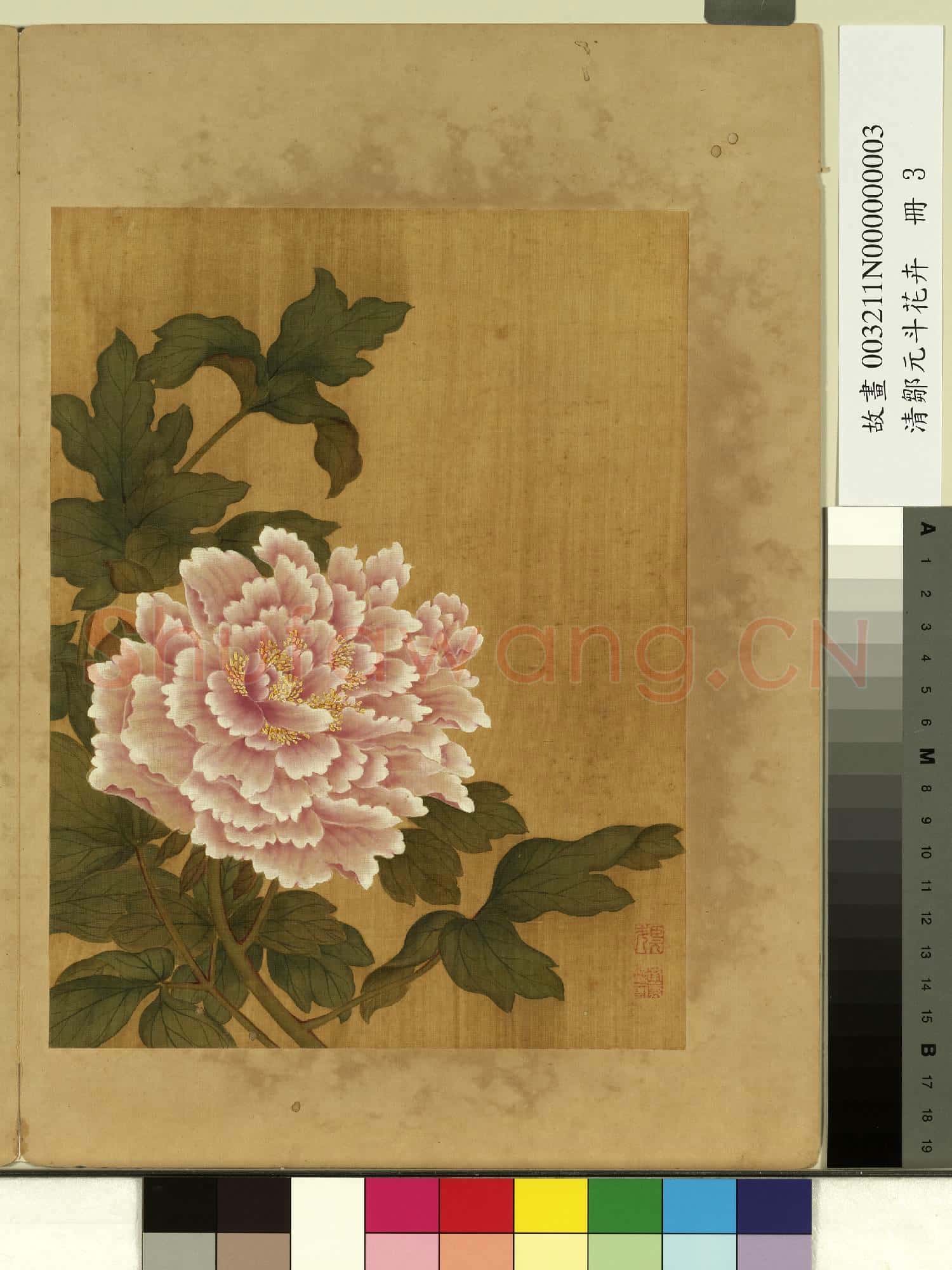 清鄒元斗花卉 冊 牡丹