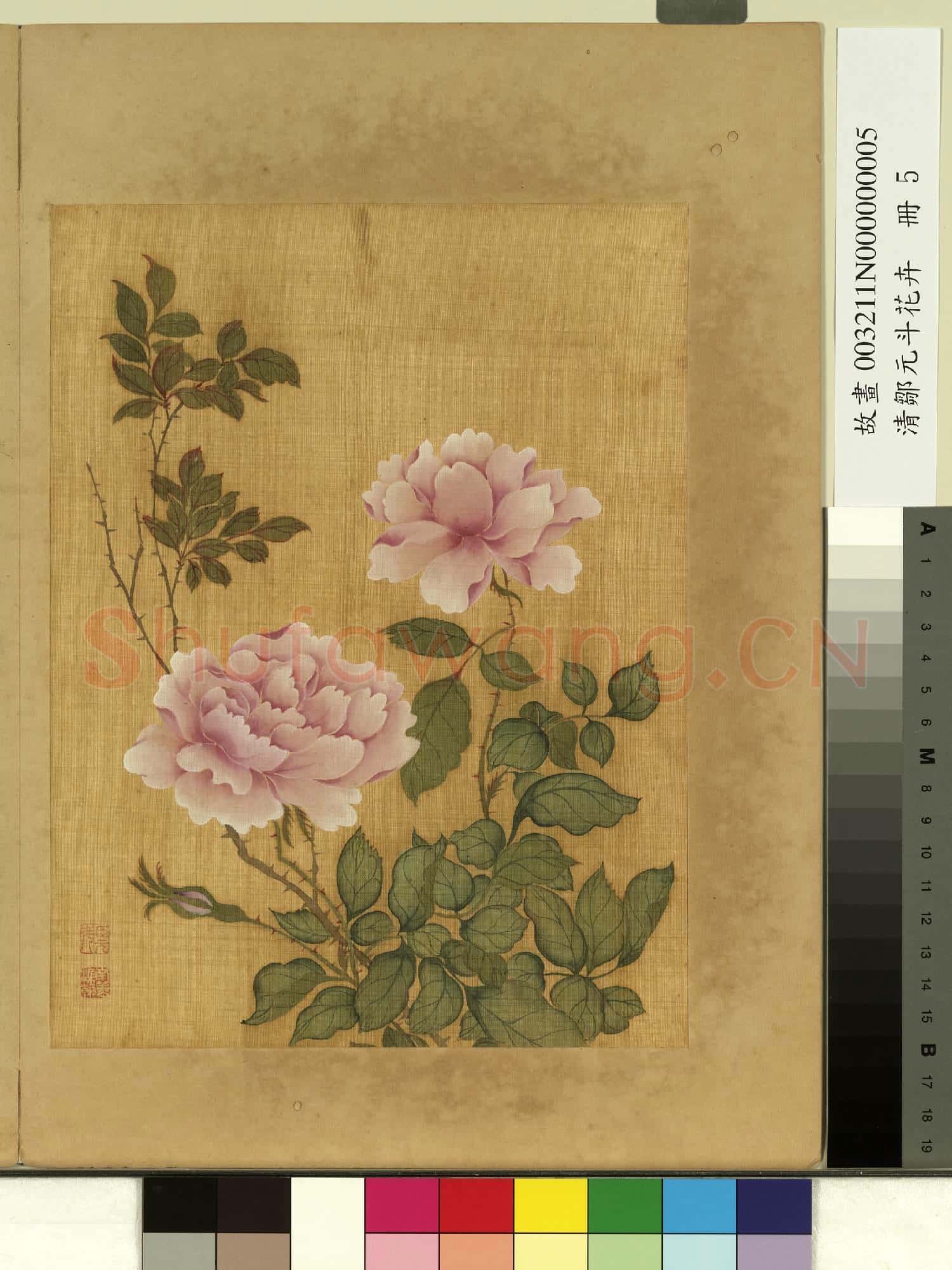 清鄒元斗花卉 冊 月季