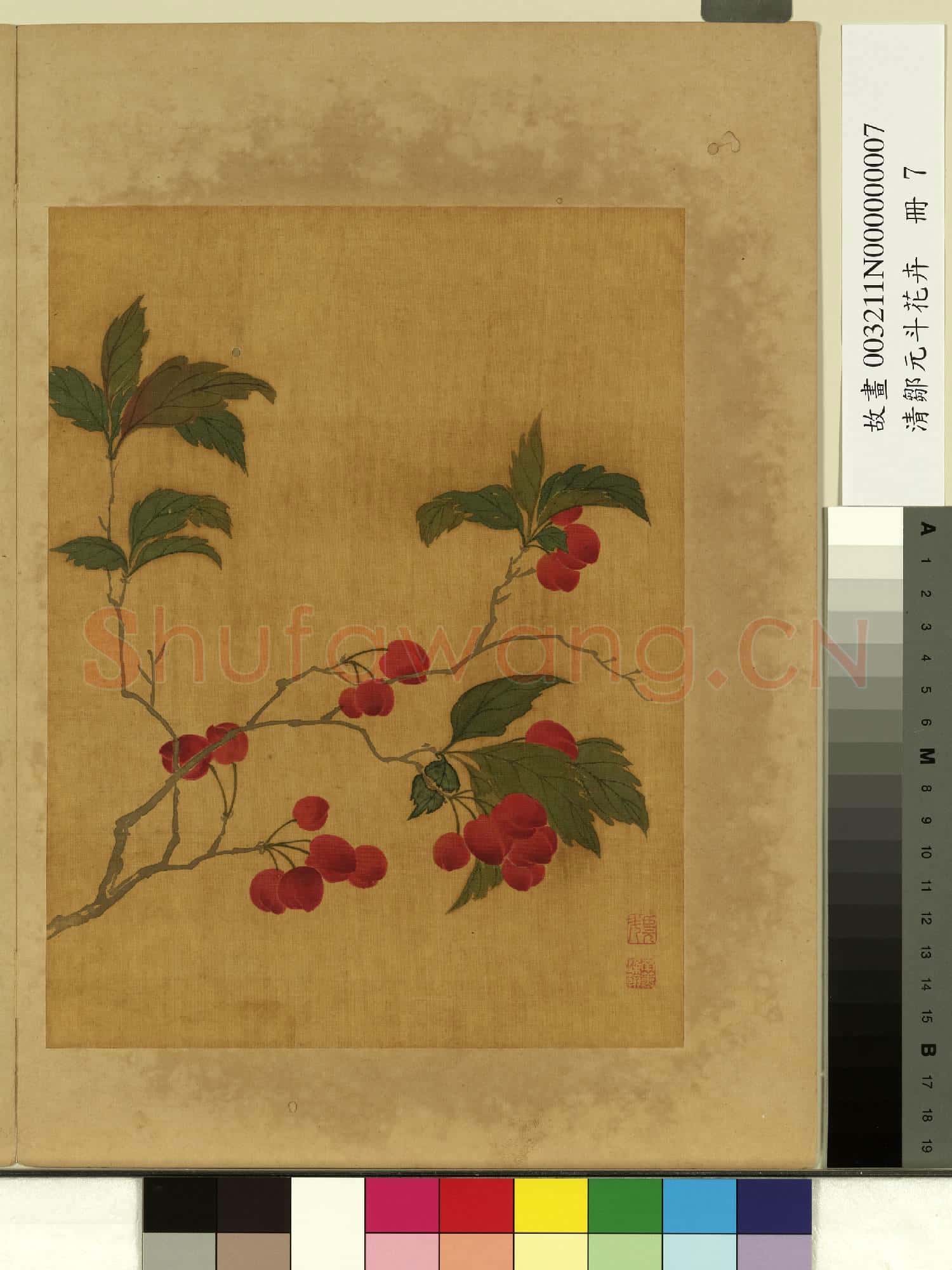 清鄒元斗花卉 冊 櫻桃