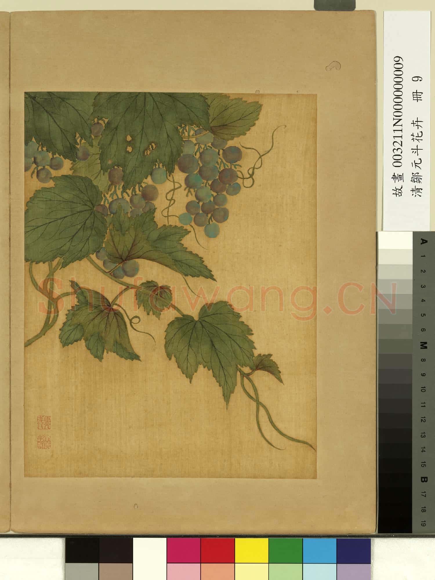 清鄒元斗花卉 冊 葡萄