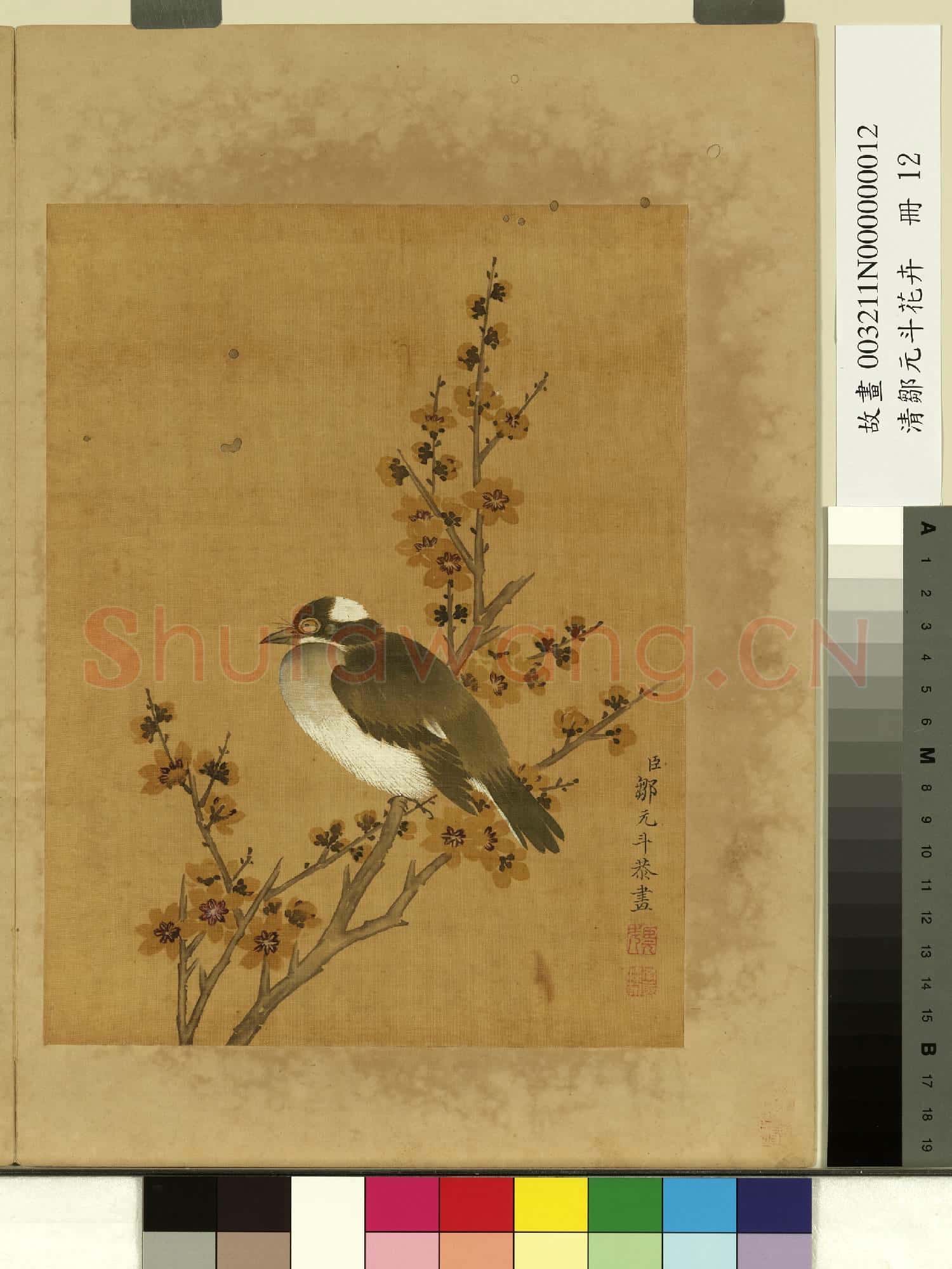 清鄒元斗花卉 冊 蠟梅