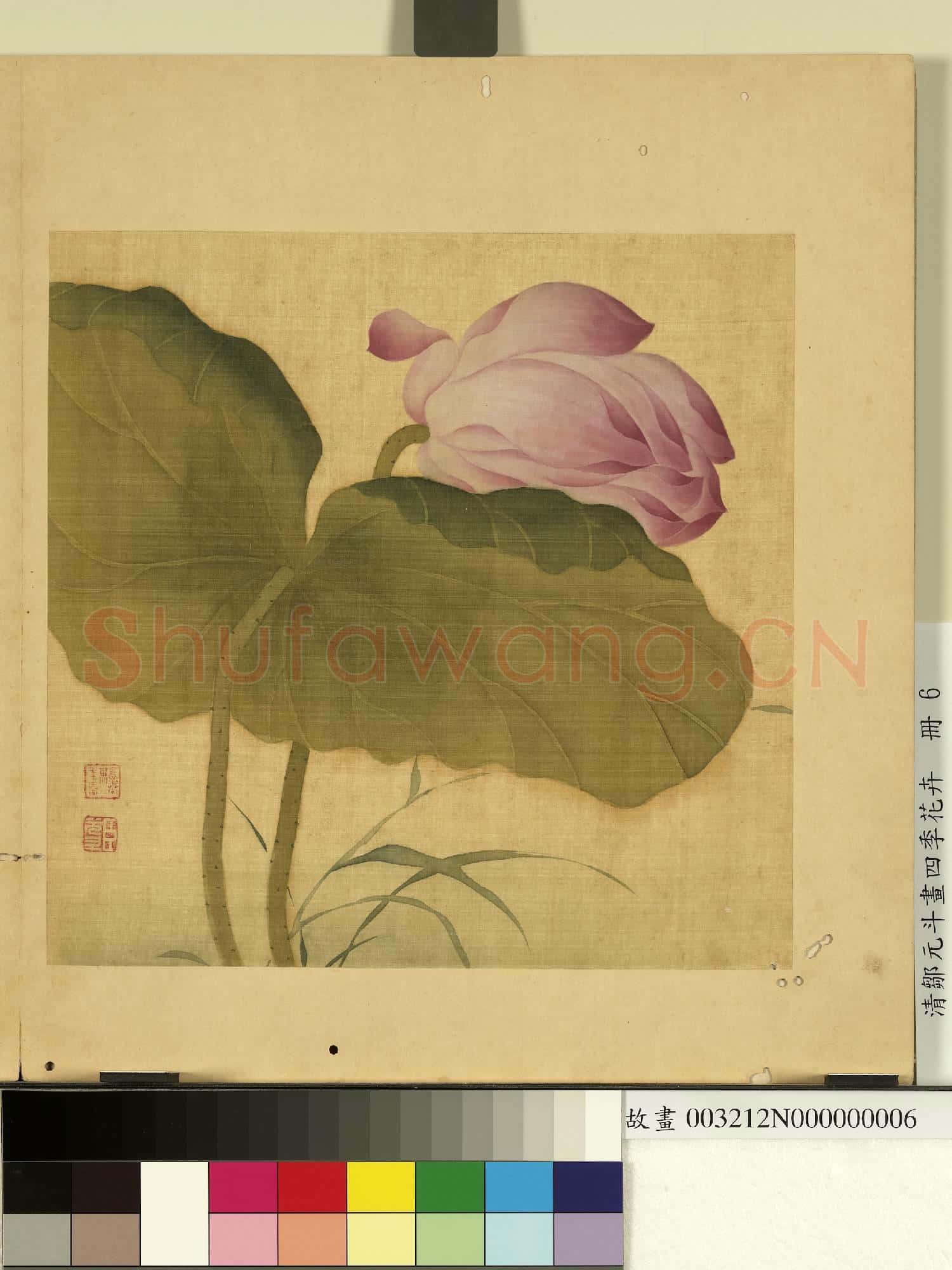 清鄒元斗畫四季花卉 冊 蓮荷