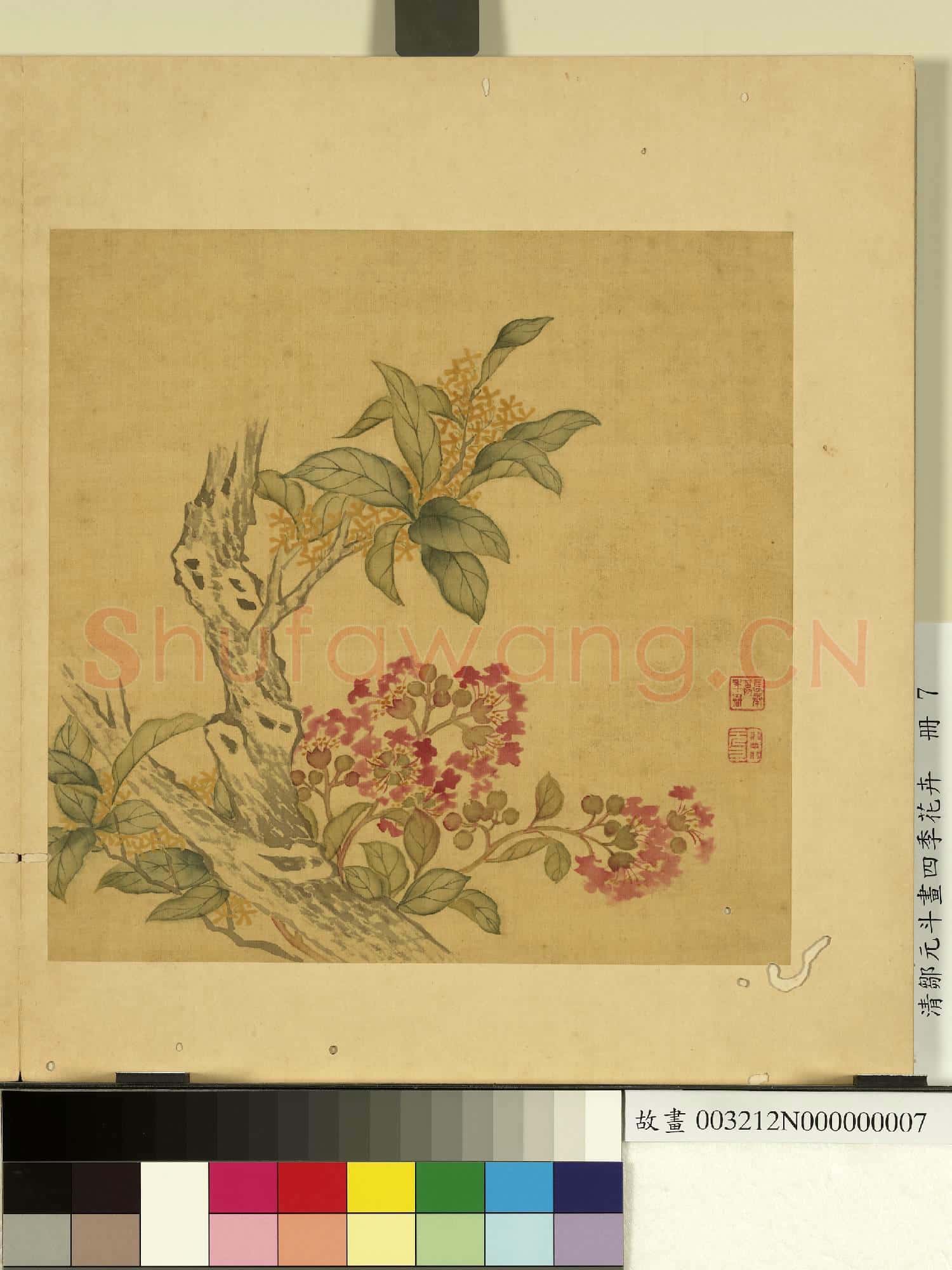 清鄒元斗畫四季花卉 冊 桂花紫薇