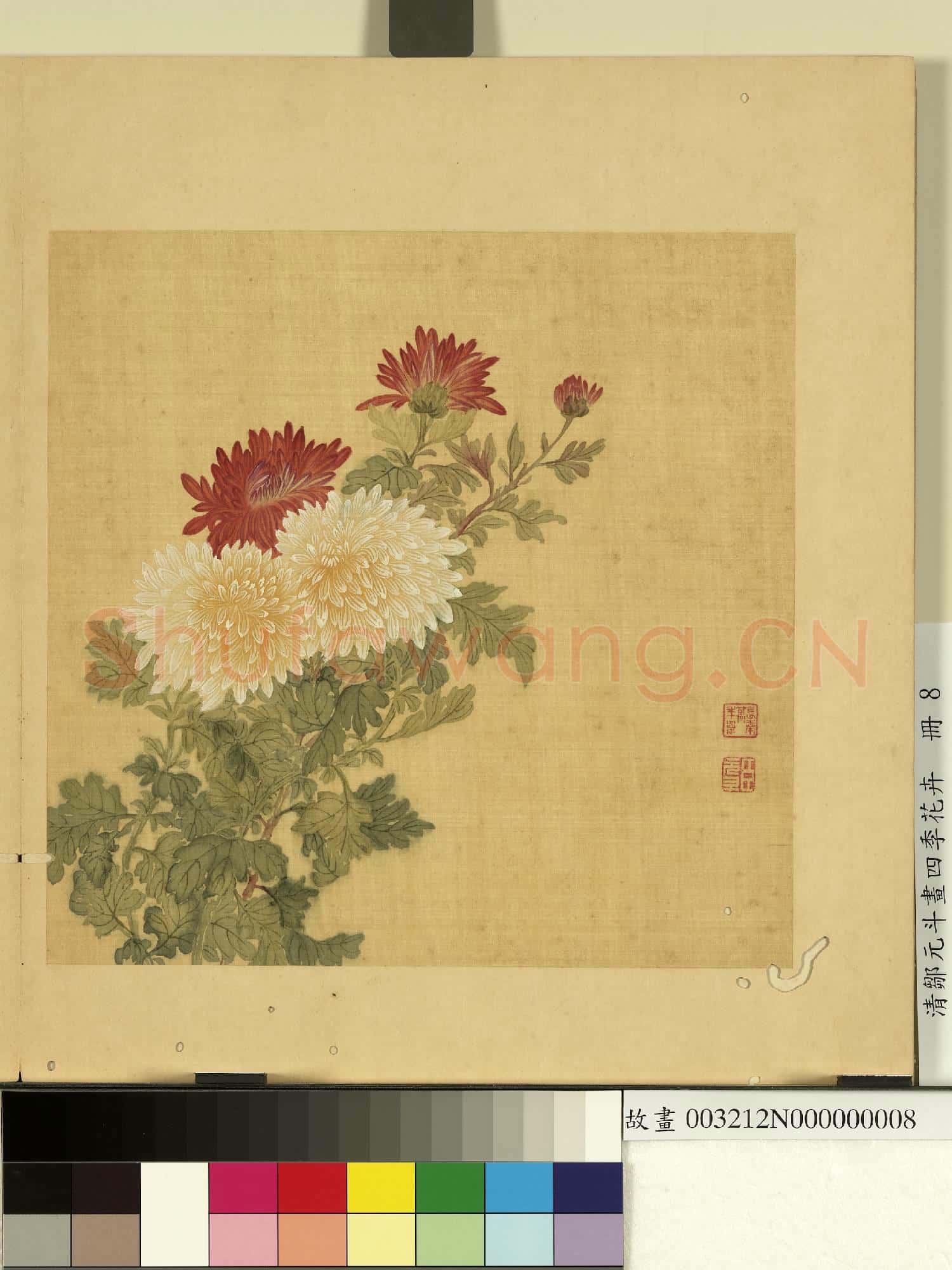 清鄒元斗畫四季花卉 冊 菊