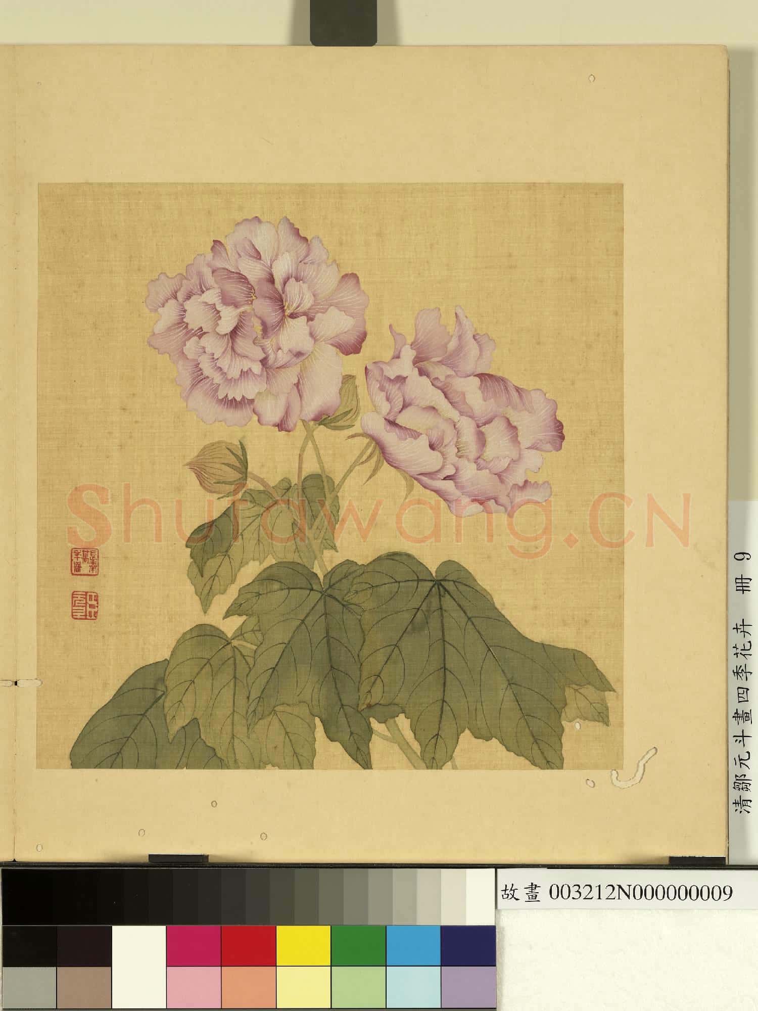 清鄒元斗畫四季花卉 冊 芙蓉