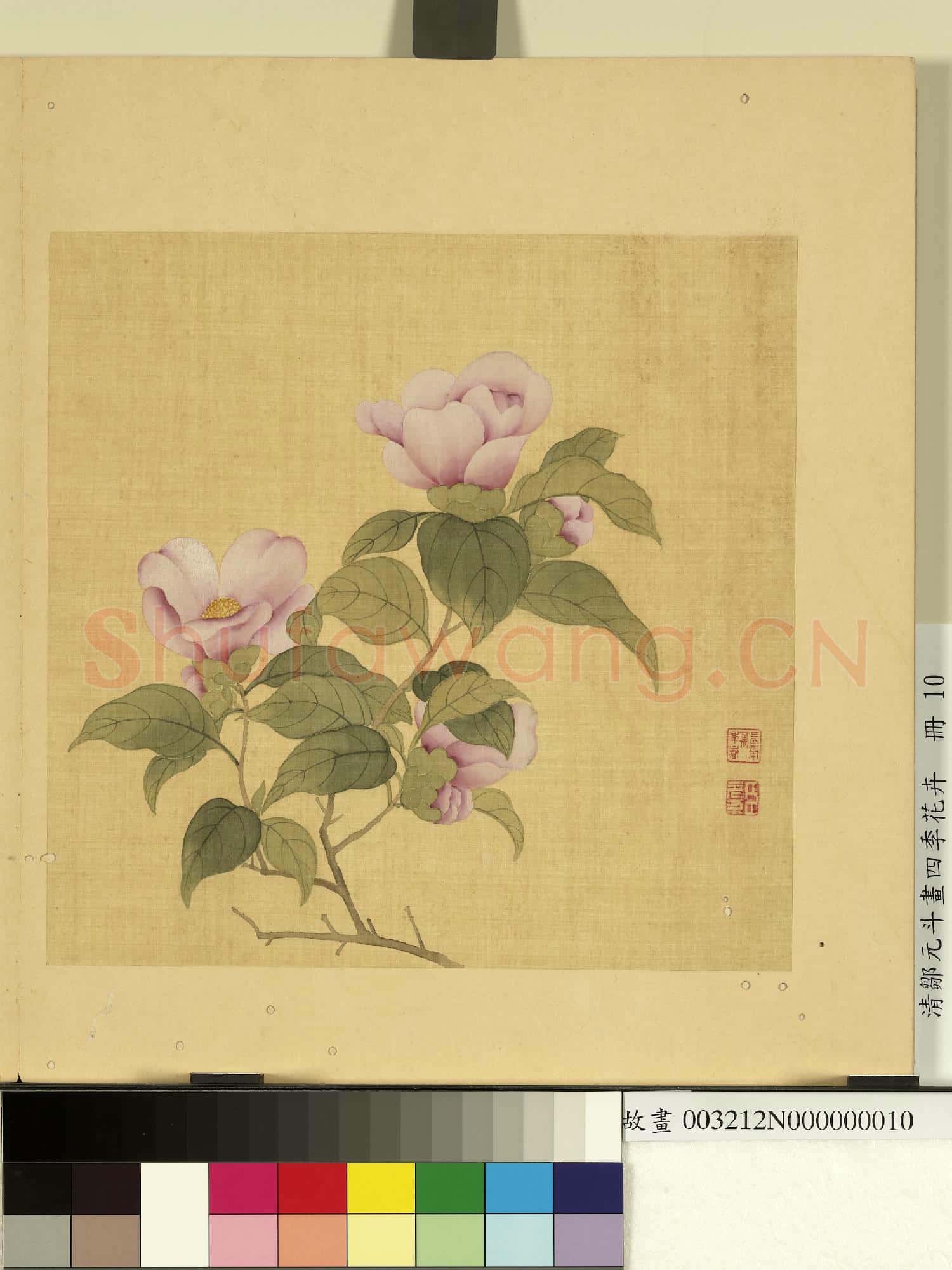 清鄒元斗畫四季花卉 冊 茶花