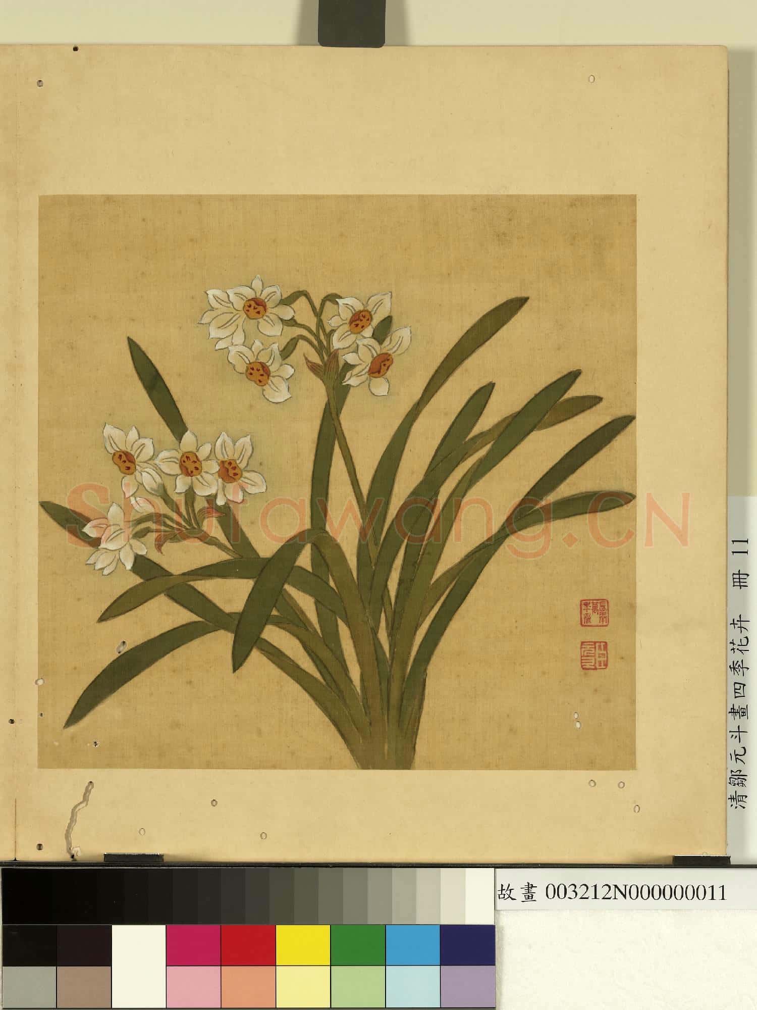清鄒元斗畫四季花卉 冊 水仙