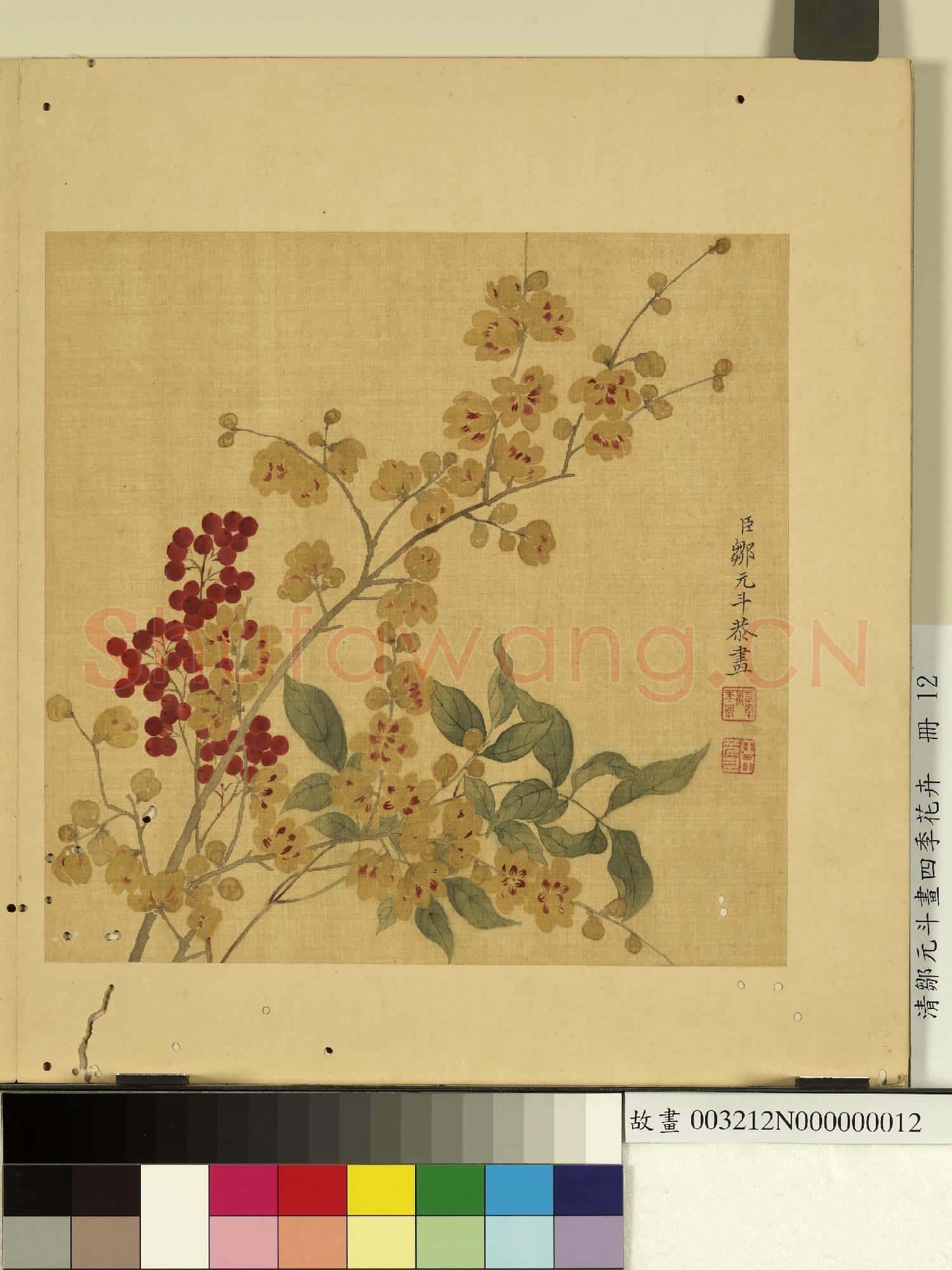 清鄒元斗畫四季花卉 冊 蠟梅
