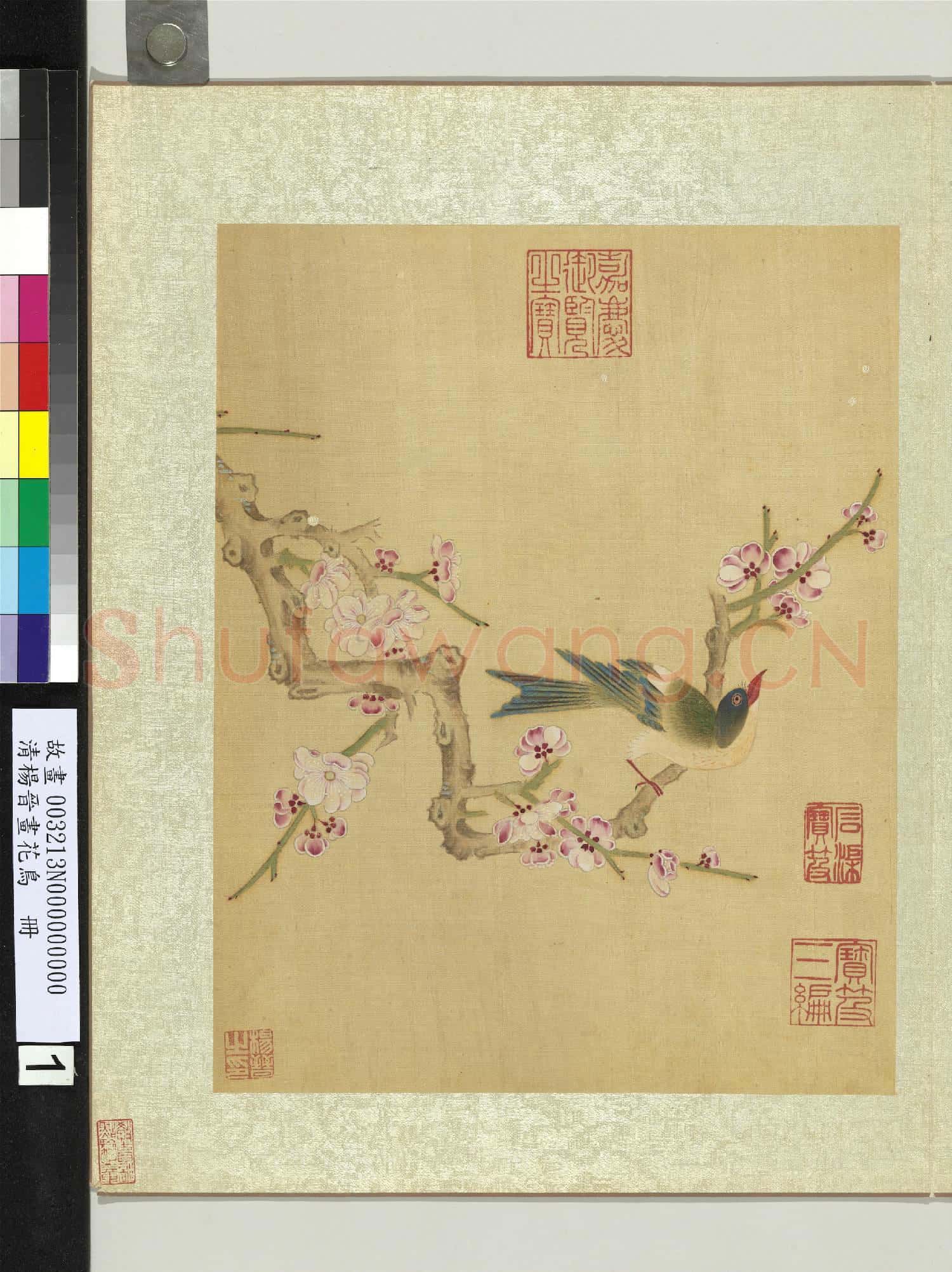 清楊晉畫花鳥 冊 梅花翠雀