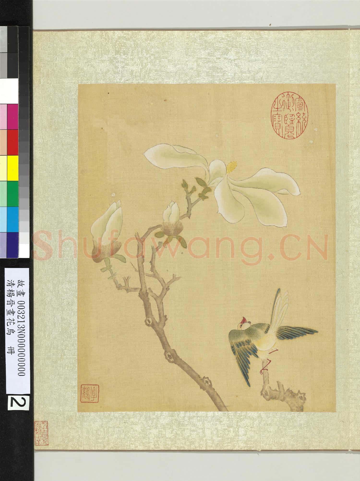 清楊晉畫花鳥 冊 木蘭翠雀
