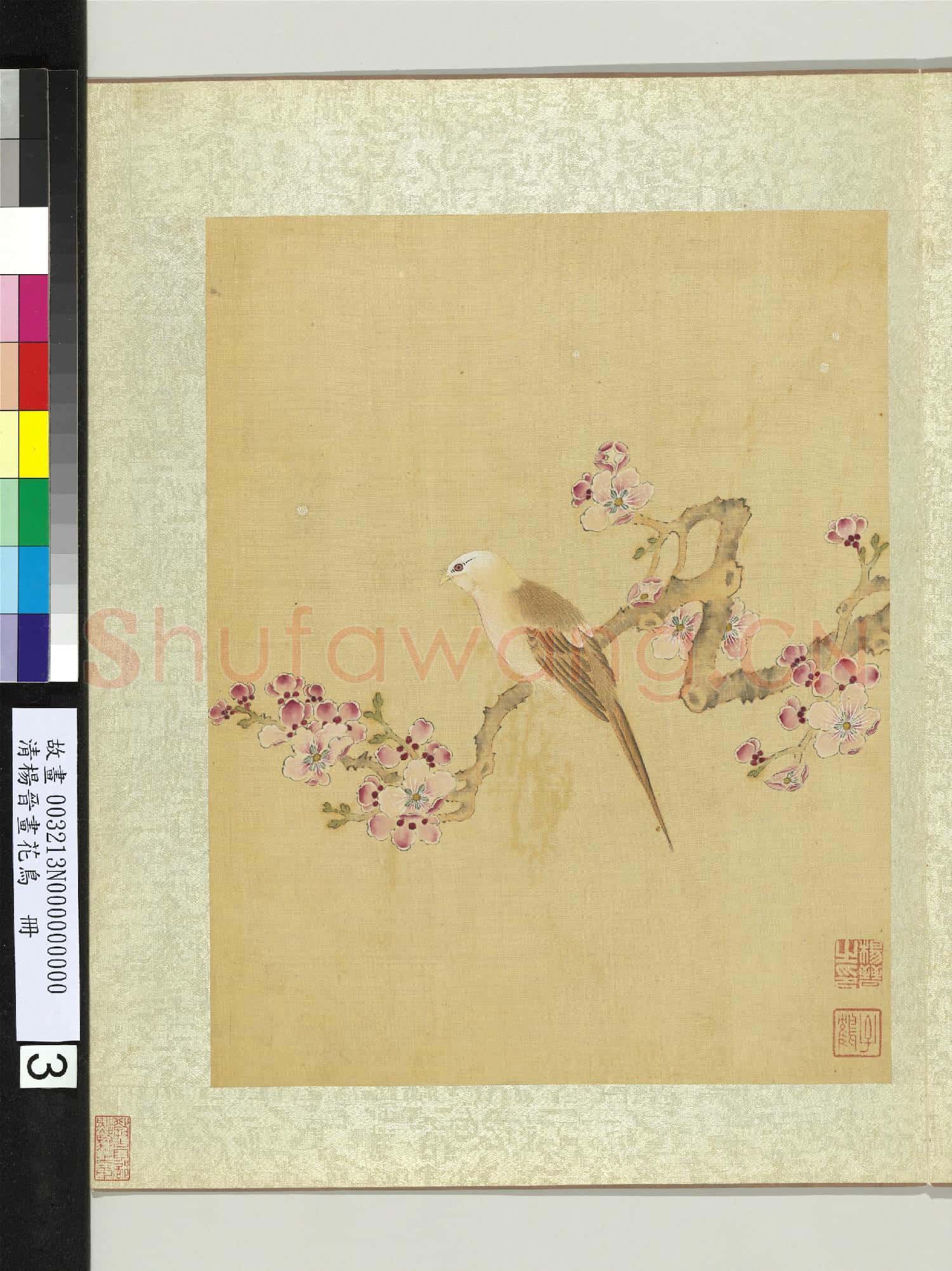 清楊晉畫花鳥 冊 杏花黃脰