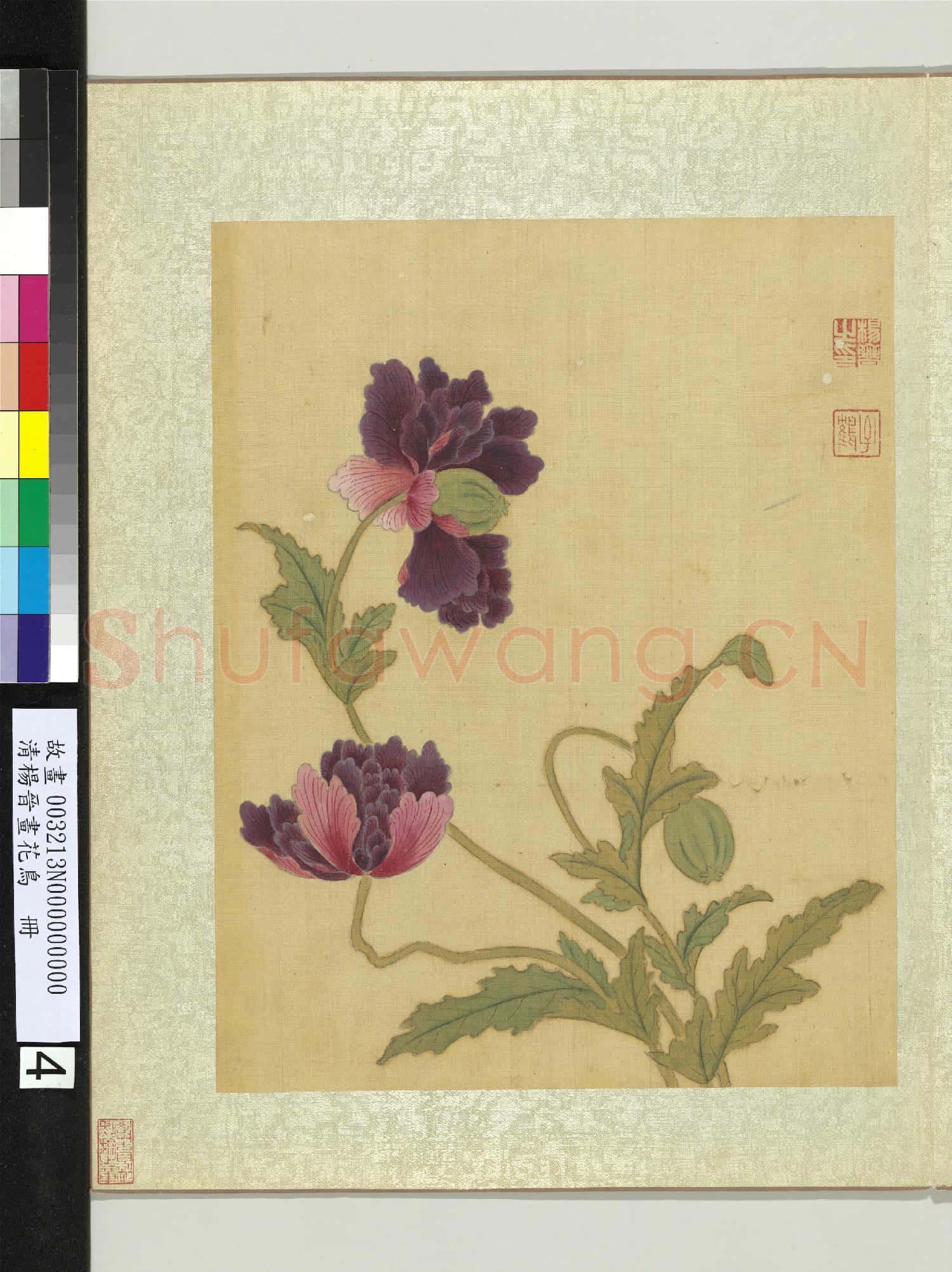 清楊晉畫花鳥 冊 米囊花